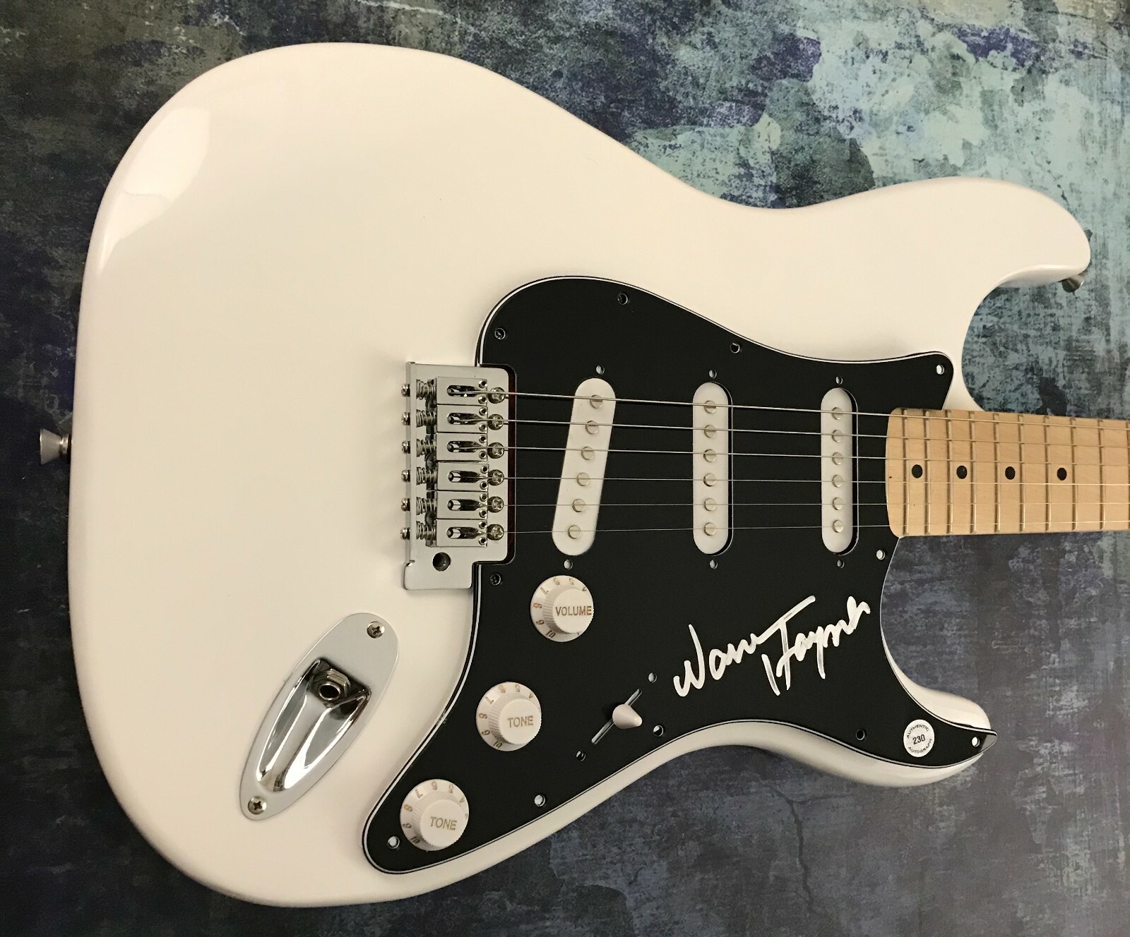 GFA The Allman Brothers * WARREN HAYNES * Signed Electric Guitar PROOF W3 COA