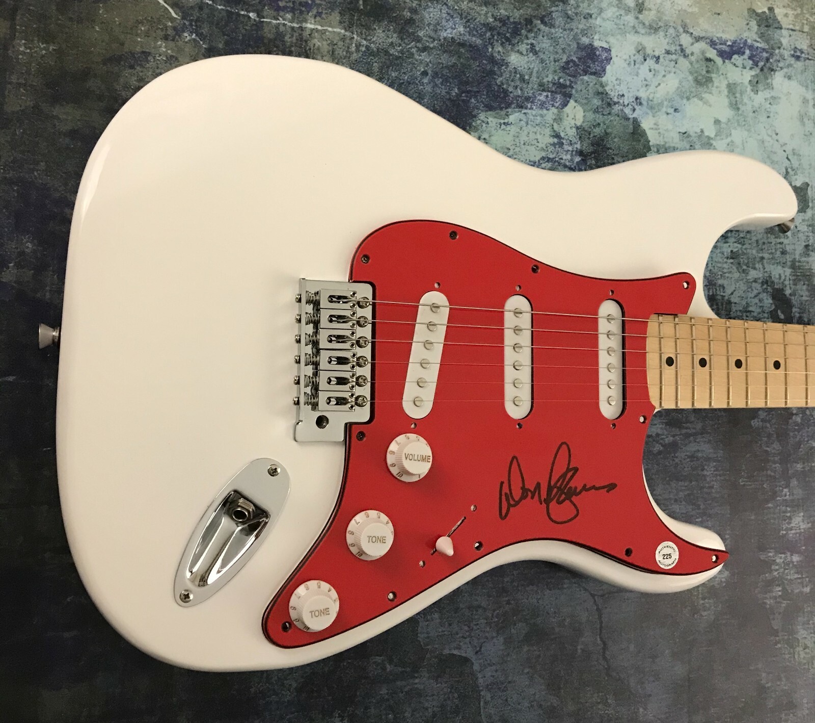 GFA 38 Special Band Guitarist * DON BARNES * Signed Electric Guitar PROOF D COA