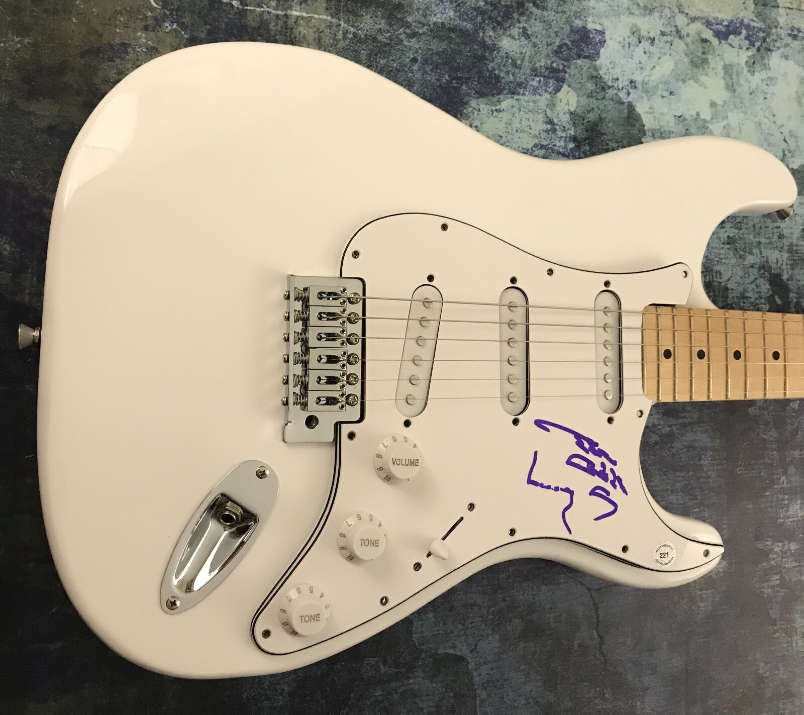 GFA Git R Done * LARRY THE CABLE GUY * Signed Electric Guitar PROOF B COA