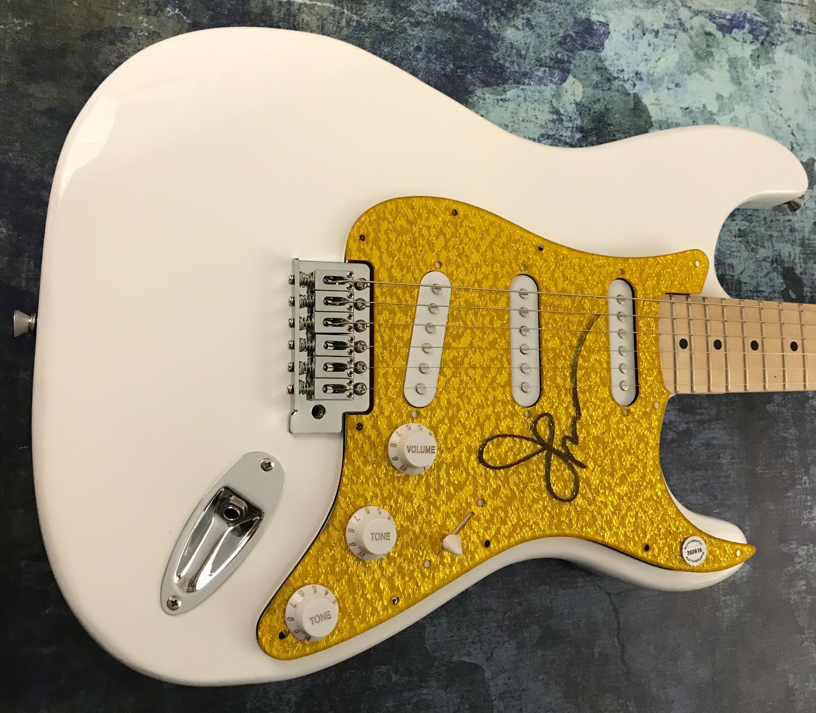 GFA Full House Jesse Beach Boys * JOHN STAMOS * Signed Electric Guitar J2 COA