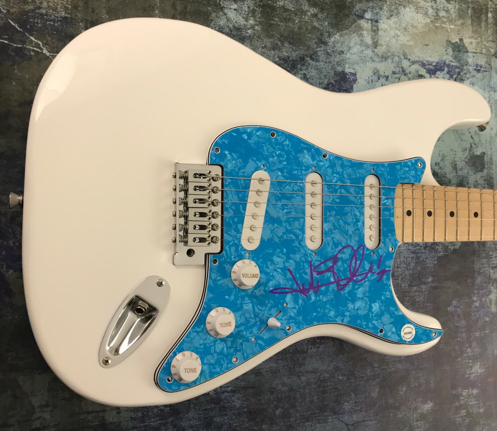 GFA The Struts Band Singer * LUKE SPILLER * Signed Electric Guitar PROOF L4 COA