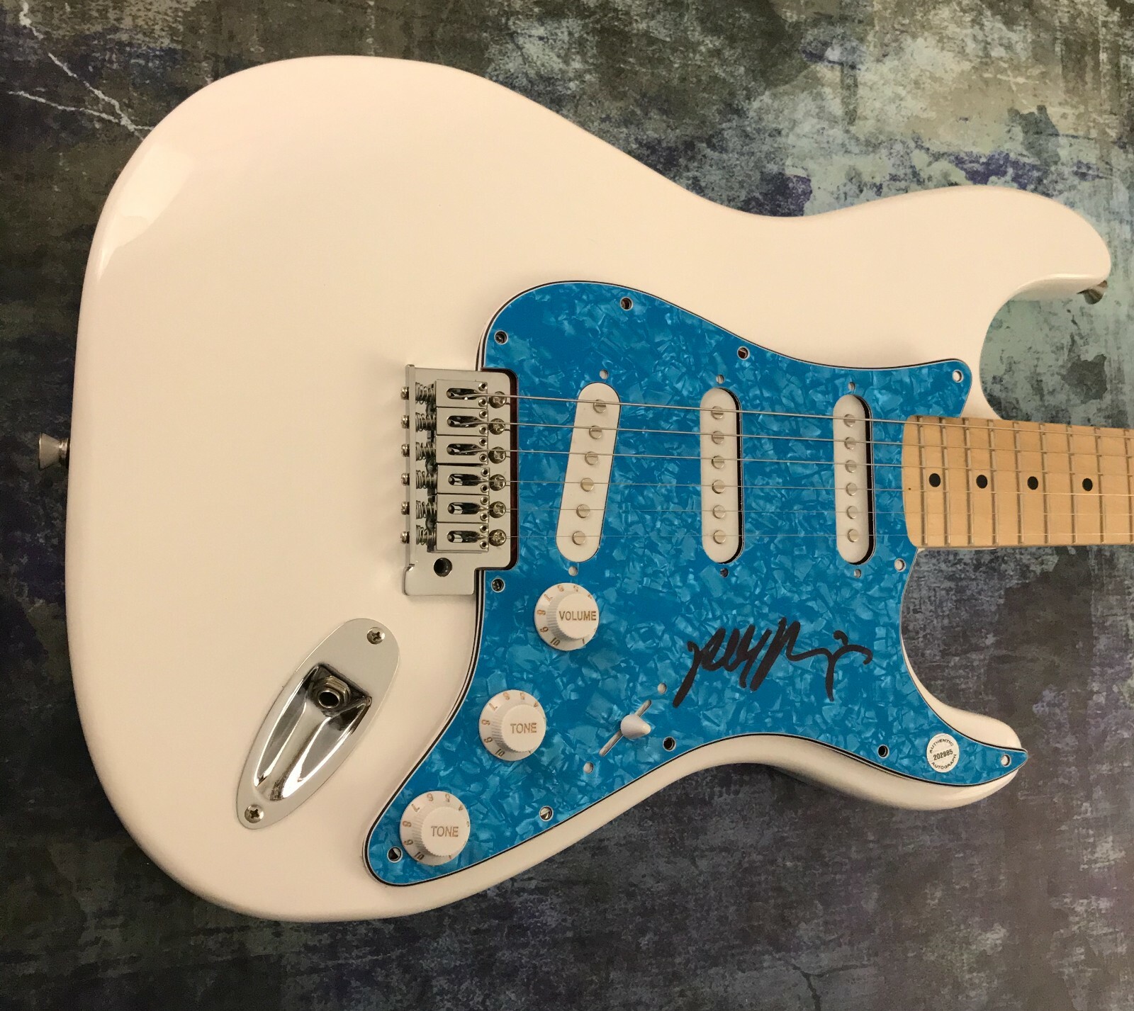 GFA The Doors Guitarist * ROBBY KRIEGER * Signed Electric Guitar PROOF R6 COA