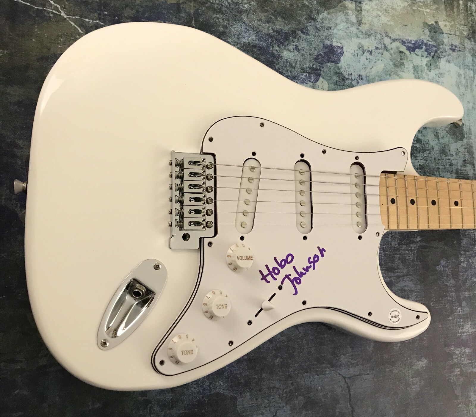 GFA The Fall and Rise of * HOBO JOHNSON * Signed Electric Guitar PROOF H4 COA