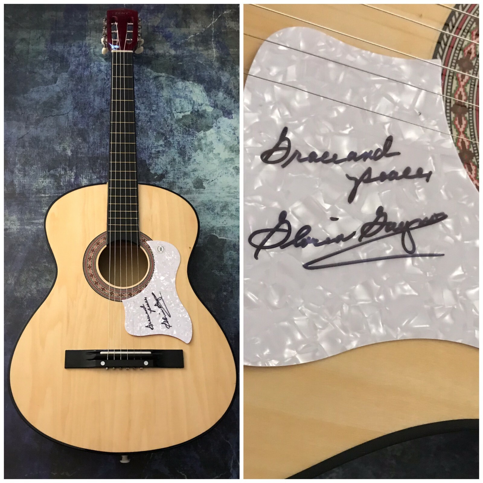 GFA I Will Survive R&B Star * GLORIA GAYNOR * Signed Acoustic Guitar G1 COA