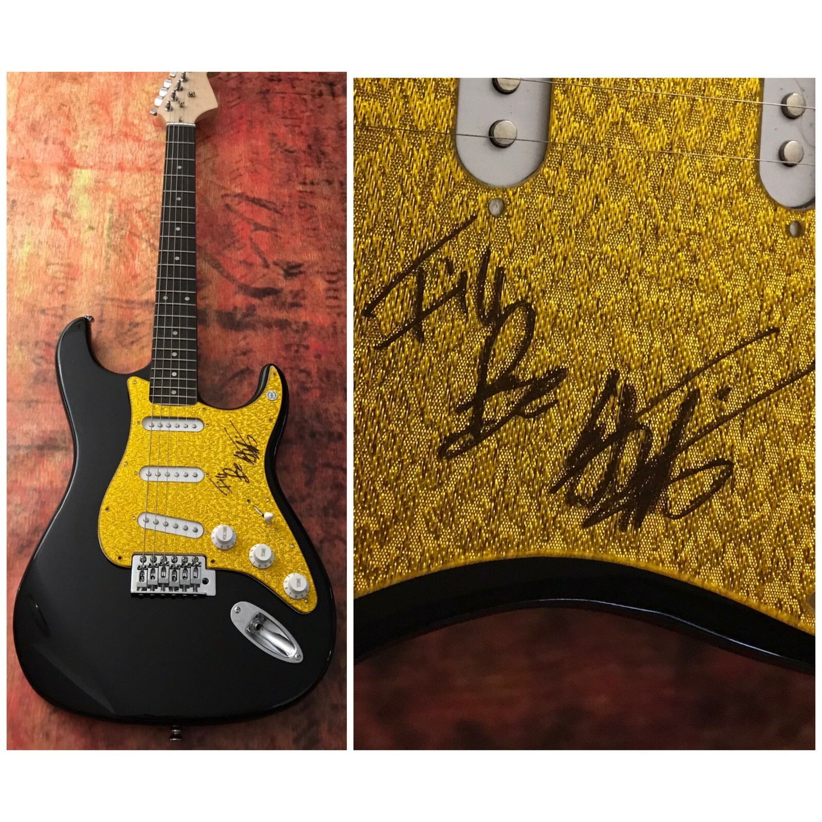 GFA Misguided Roses I'll Be * EDWIN McCAIN * Signed Electric Guitar E6 COA