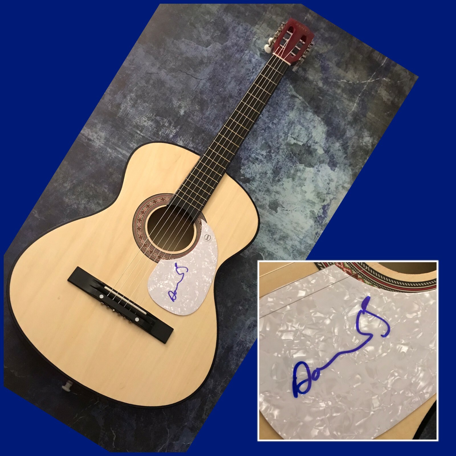 GFA Bauhaus Band Rock Star * DAVID J HASKINS * Signed Acoustic Guitar D2 COA