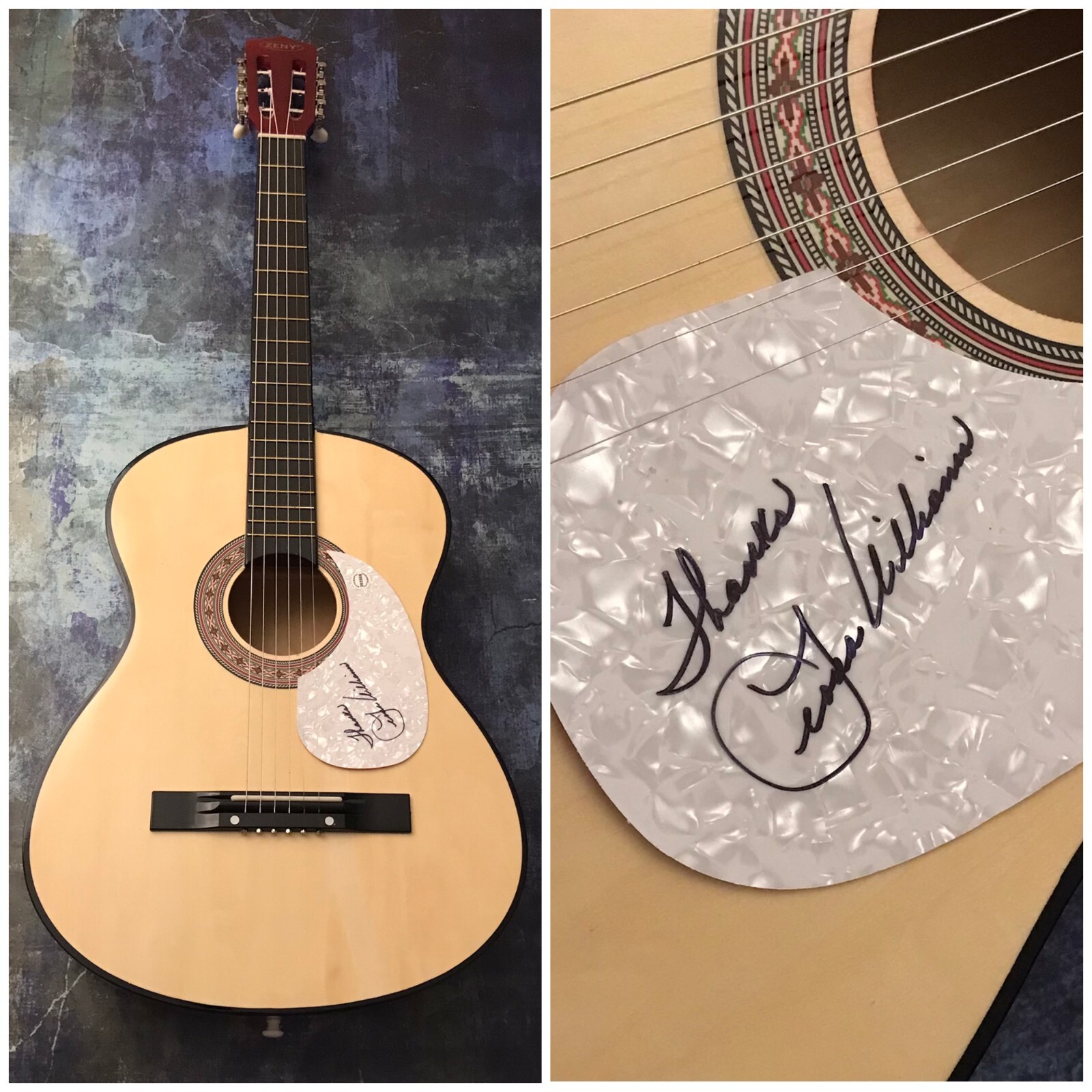 GFA The Bull and the Beaver * LEONA WILLIAMS * Signed Acoustic Guitar L1 COA