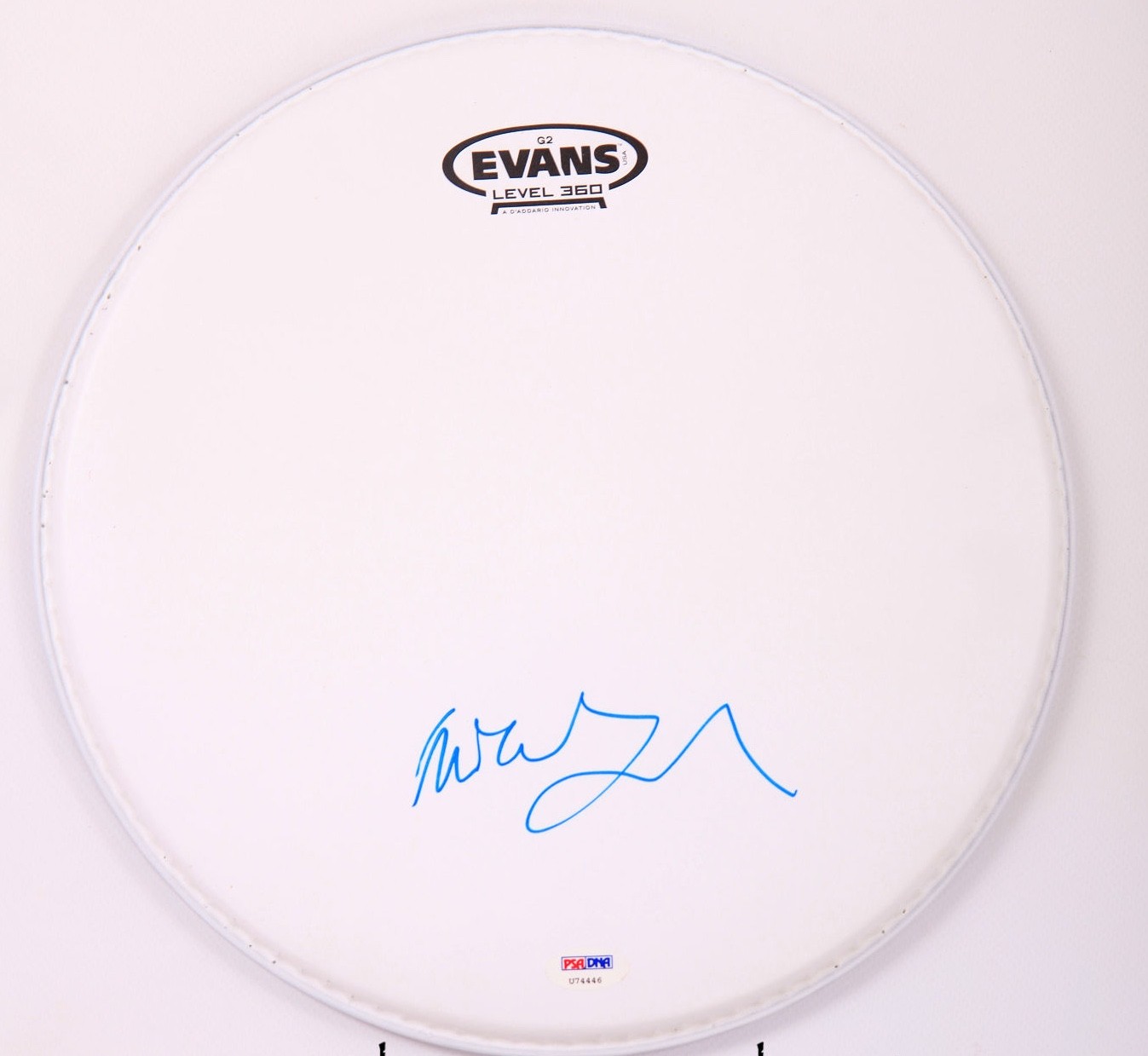 PSA Rock Band Phish * MIKE GORDON * Signed 12