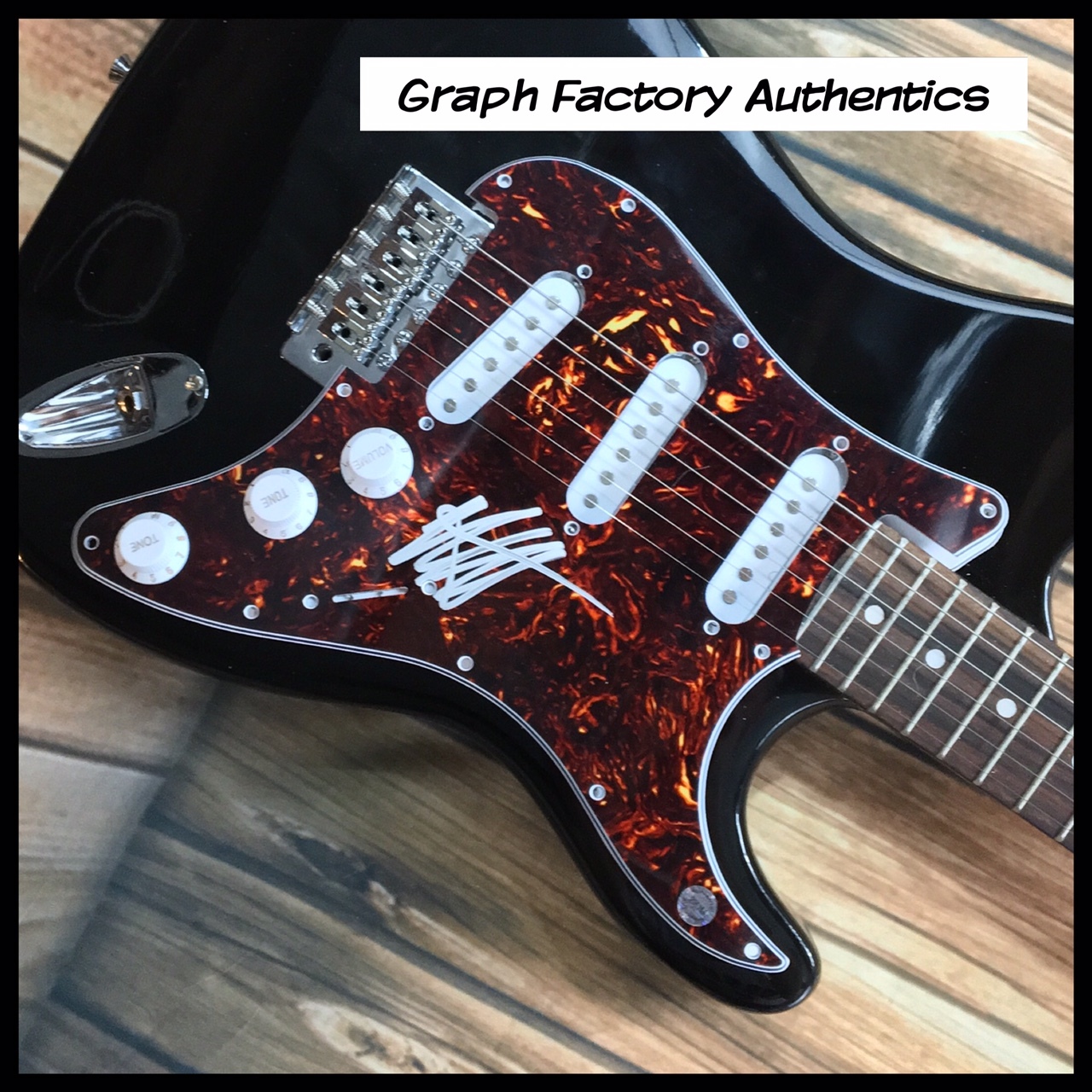 GFA Filter Frontman * RICHARD PATRICK * Signed Electric Guitar F2 COA