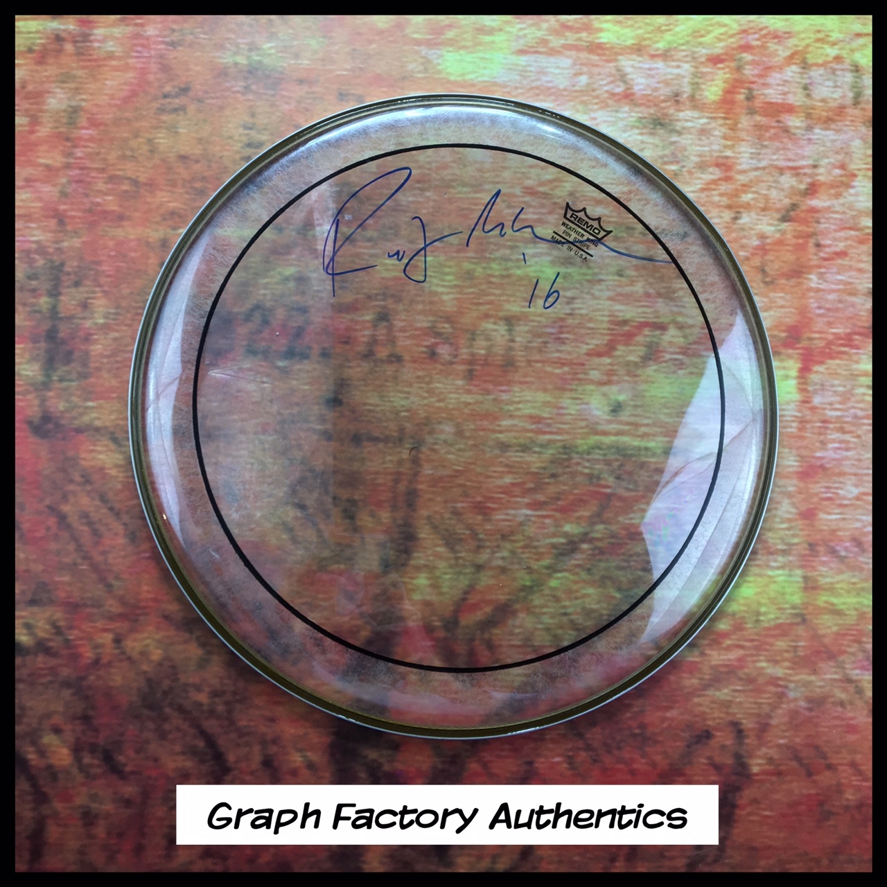 GFA Paul McCartney Guitarist * RUSTY ANDERSON * Signed 15