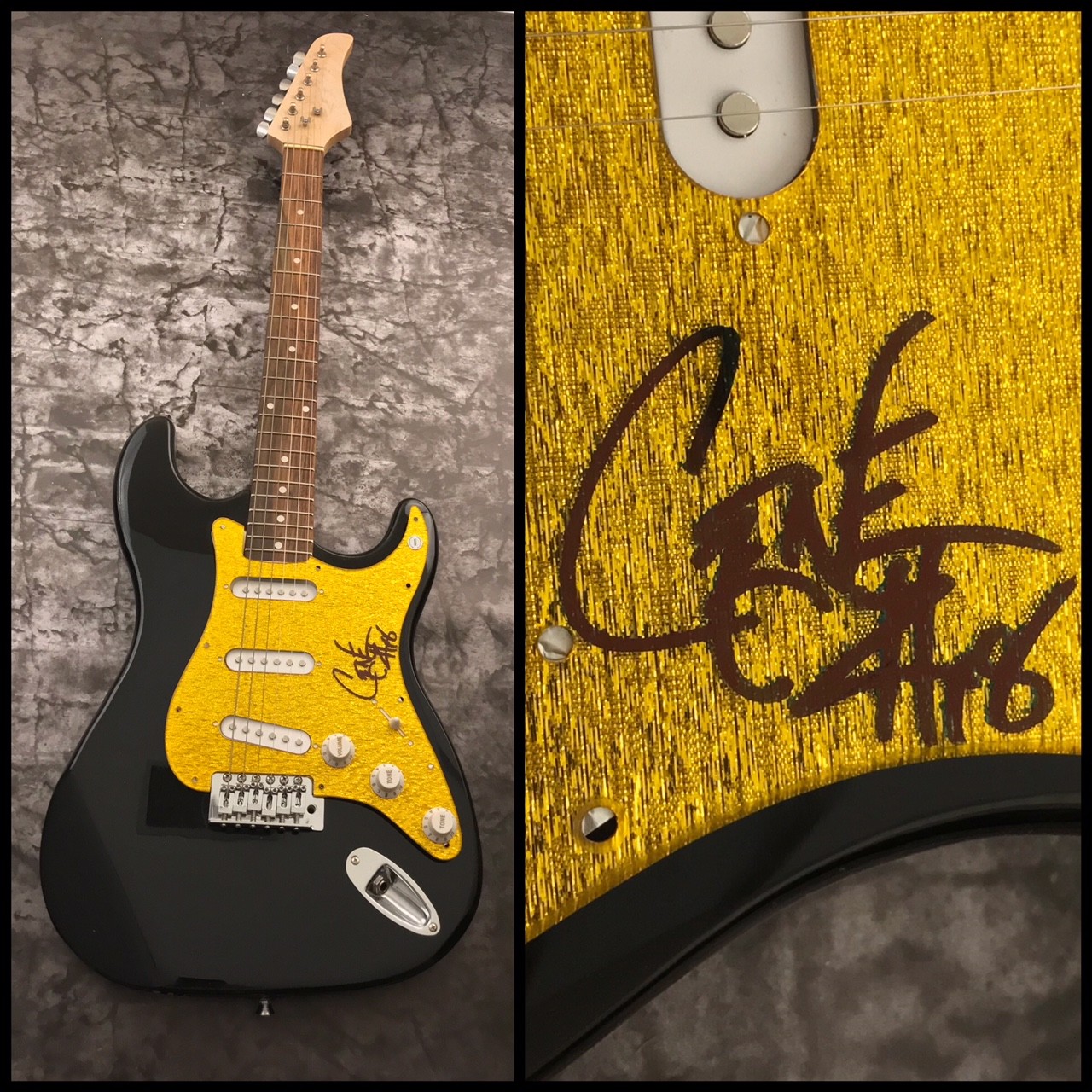 GFA Dethklok & Metalocalypse * GENE HOGLAN * Signed Electric Guitar AD1 COA