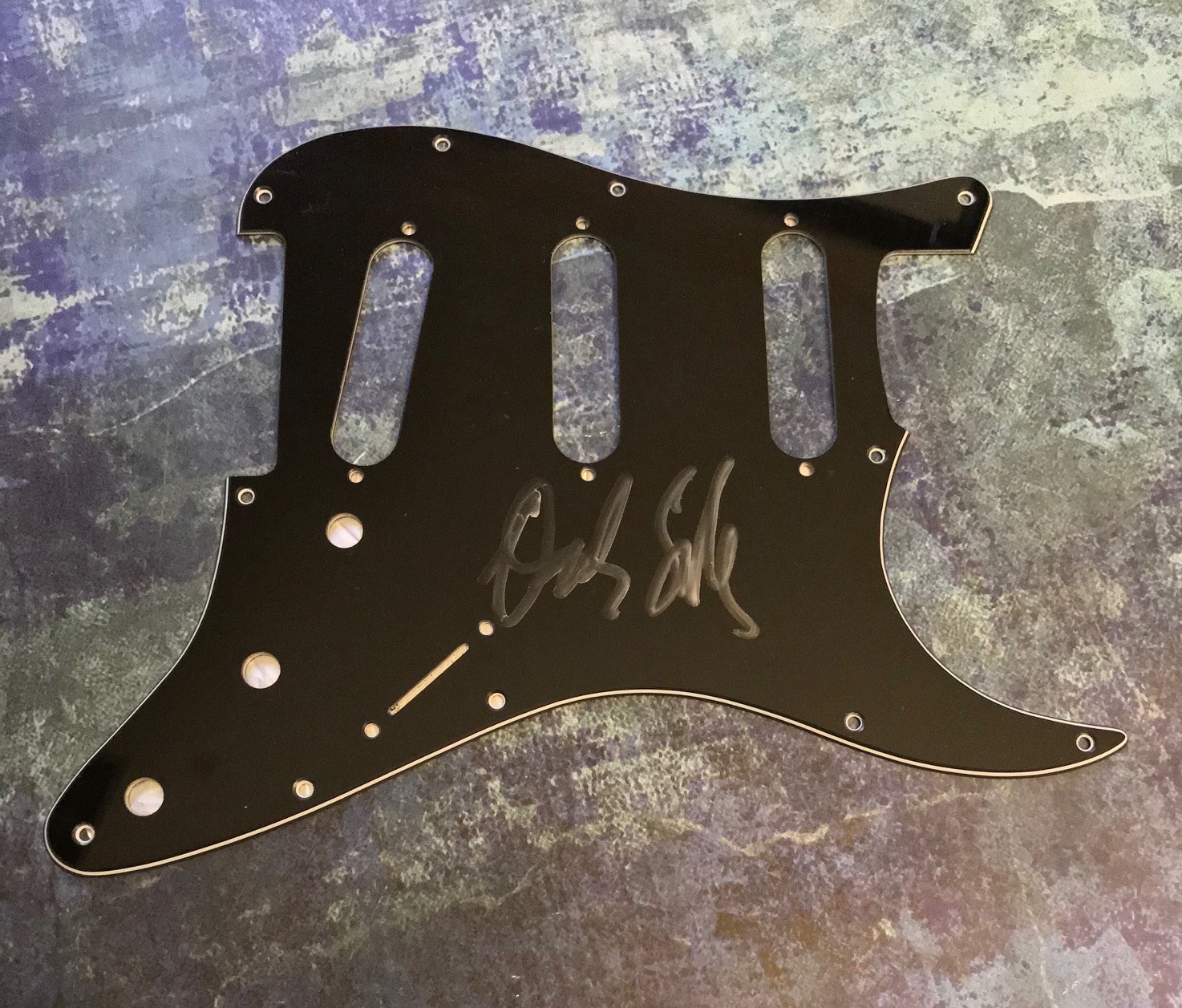 GFA Spinal Tap Harry Shearer * DEREK SMALLS * Signed Electric Pickguard PROOFCOA