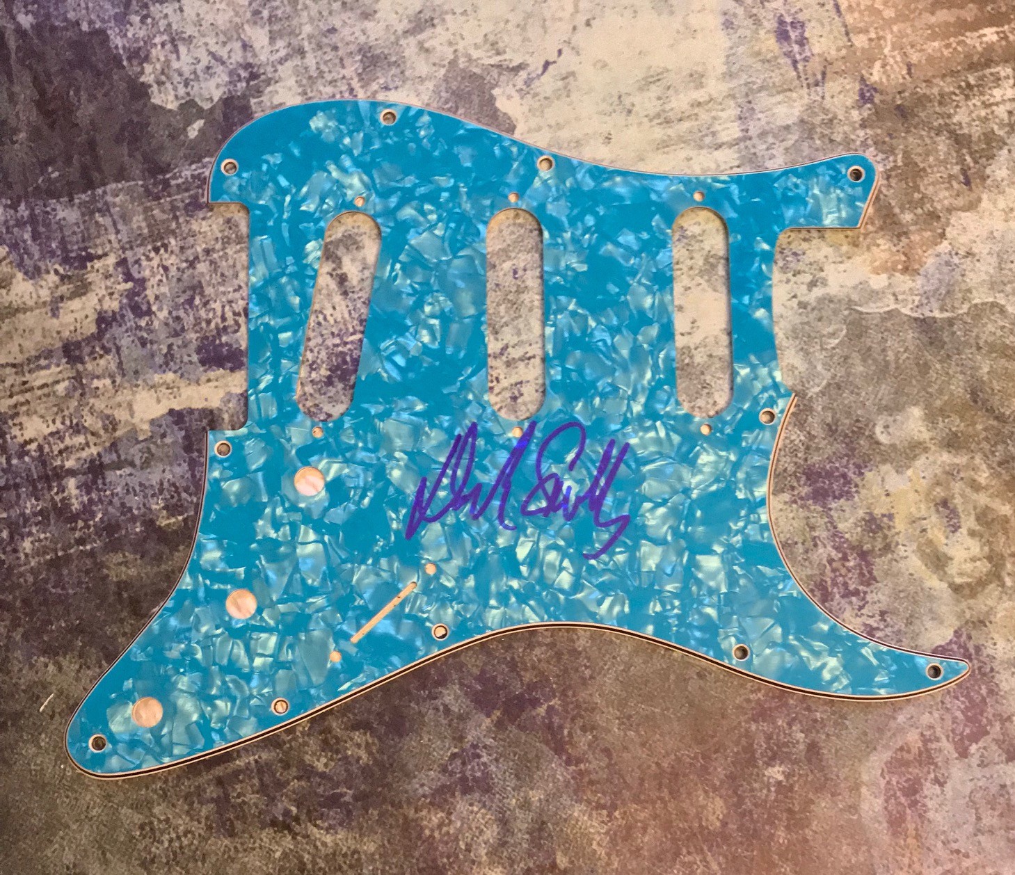 GFA The Spinal Tap Harry Shearer * DEREK SMALLS * Signed Electric Pickguard COA