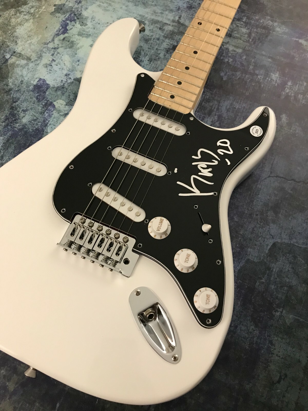 GFA Crowbar & Down Guitarist * KIRK WINDSTEIN * Signed Electric Guitar K4 COA