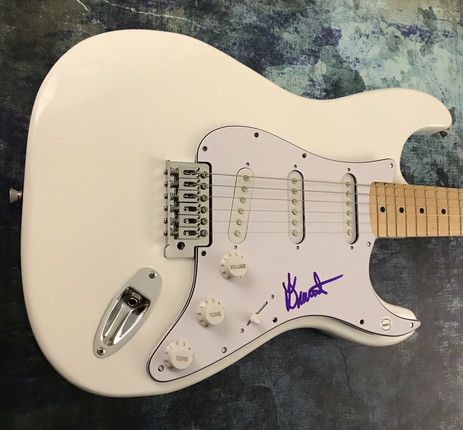 GFA Had Enough Sexy Rock Star * DIAMANTE * Signed Auto Electric Guitar D3 COA