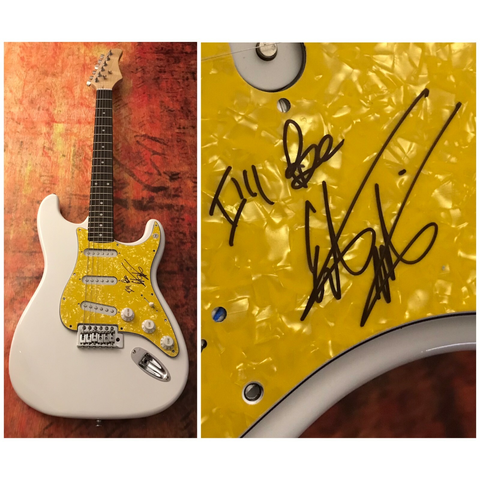 GFA Misguided Roses I'll Be * EDWIN McCAIN * Signed Electric Guitar E5 COA