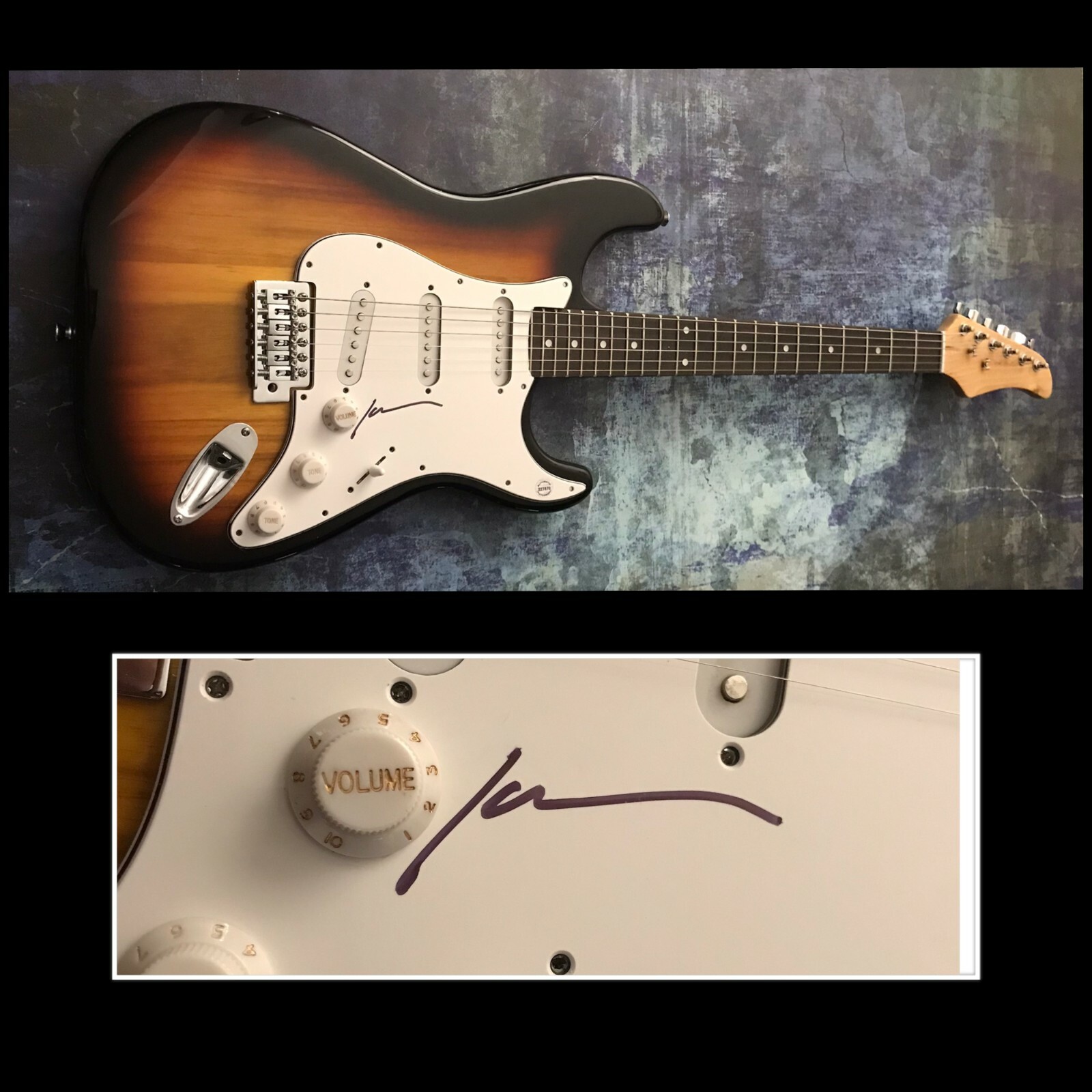 GFA The Stooges Guitarist * JAMES WILLIAMSON * Signed Electric Guitar COA