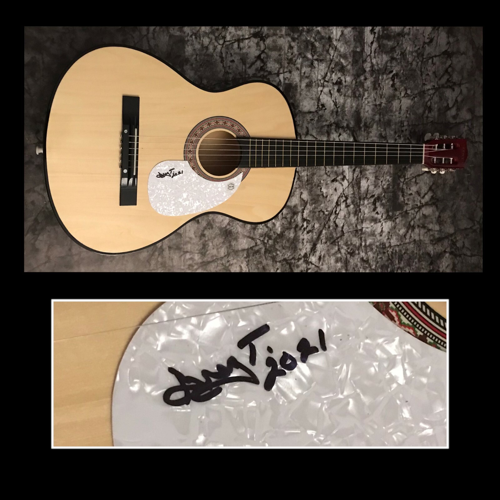 GFA Lynyrd Skynyrd & Blackfoot * GREG T. WALKER * Signed Acoustic Guitar G4 COA