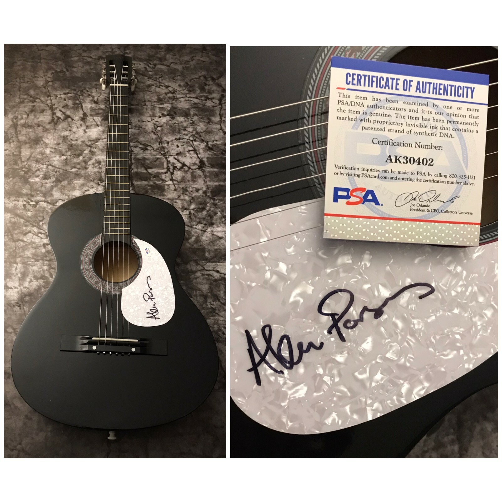 PSA The Project Eye in the Sky * ALAN PARSONS * Signed Acoustic Guitar AP1 COA