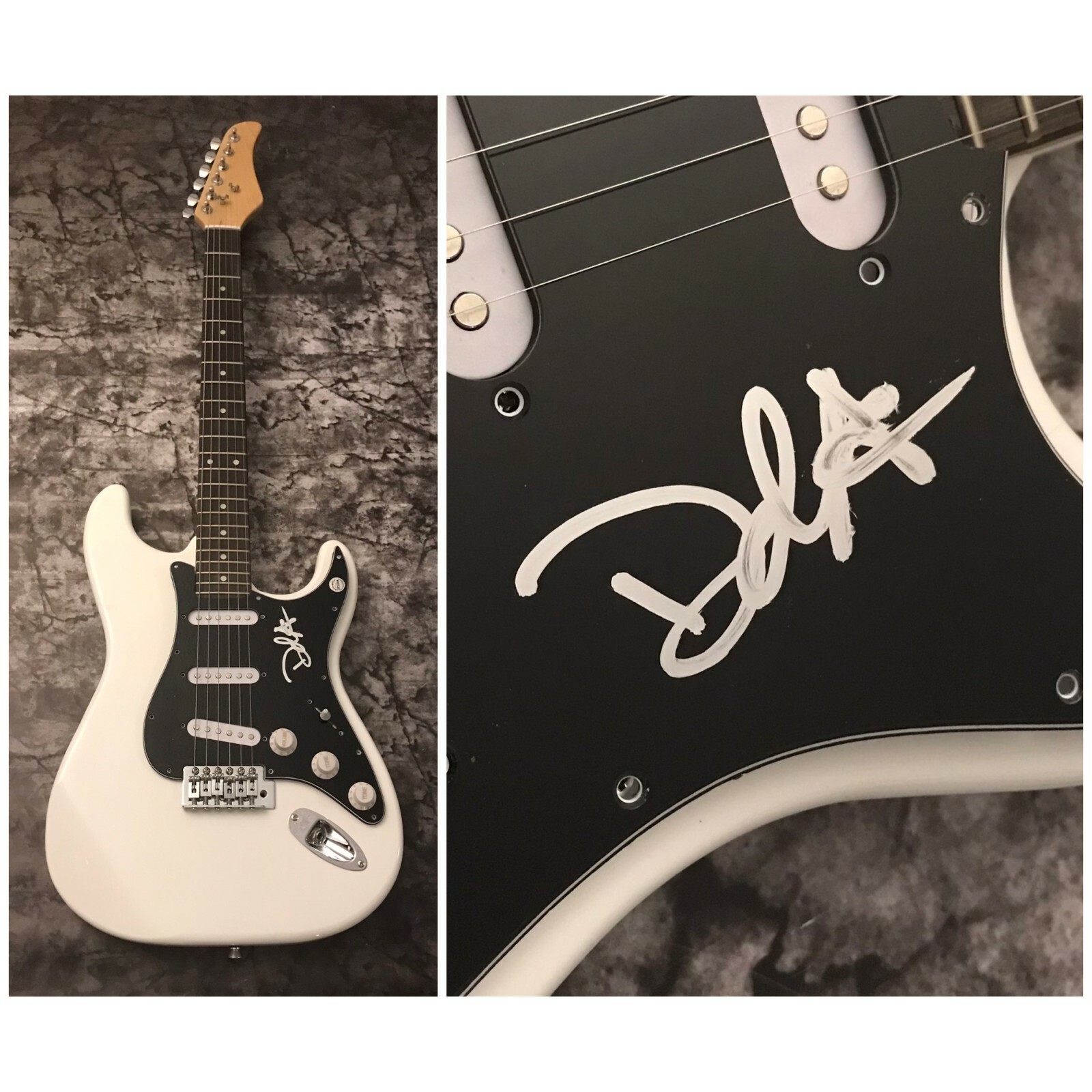 GFA Trampled by Turtles Singer * DAVE SIMONETT * Signed Electric Guitar COA