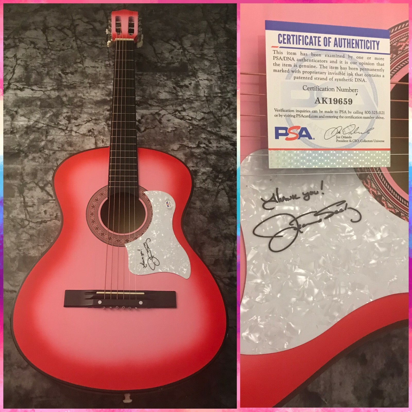 PSA Don't Touch Me Star * JEANNIE SEELY * Signed Acoustic Guitar COA