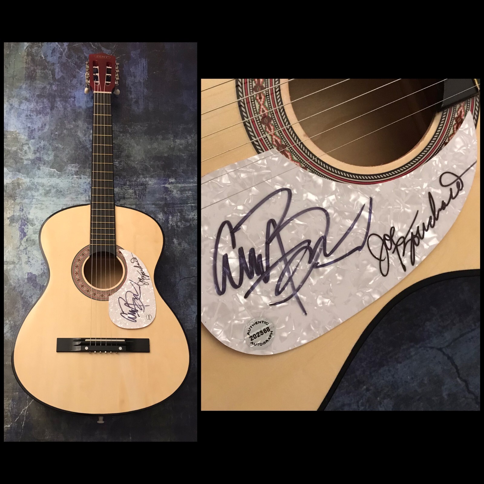 GFA Joe & Albert Bouchard * BLUE OYSTER CULT * Signed Acoustic Guitar COA
