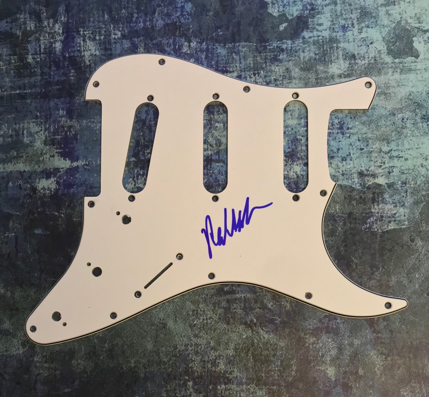 GFA Dave Matthews Band * ROBERT RANDOLPH * Signed Electric Pickguard PROOF COA
