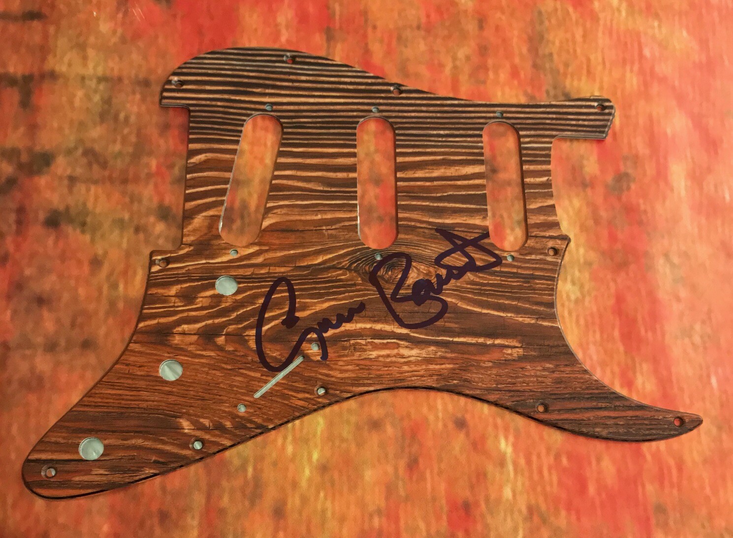 GFA Rainbow Band Singer * GRAHAM BONNET * Signed Electric Pickguard PROOF B COA
