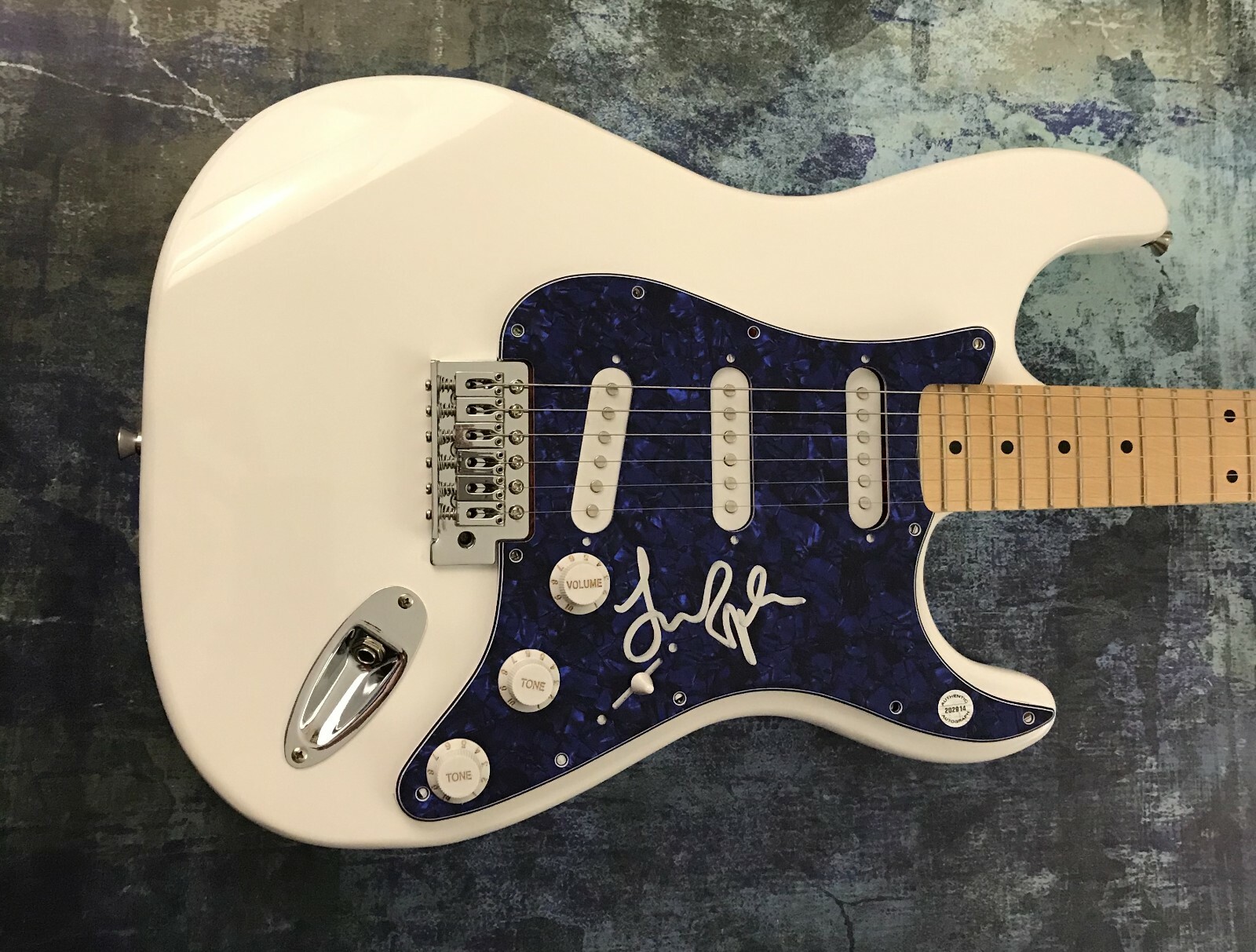 GFA Criminal Rock Star * FIONA APPLE * Signed Electric Guitar PROOF LA3 COA