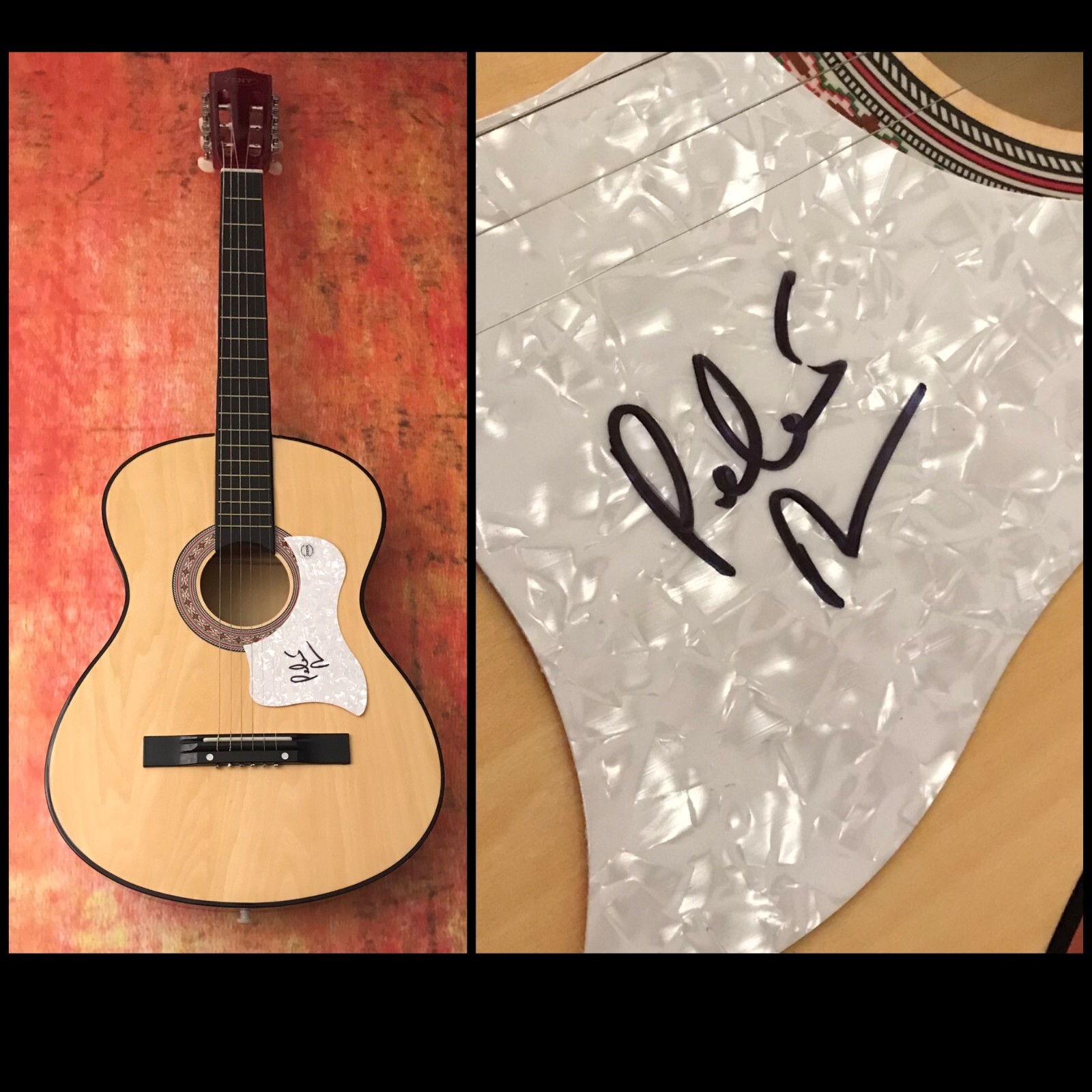 GFA A World Without Love * PETER ASHER * Signed Acoustic Guitar PROOF P2 COA