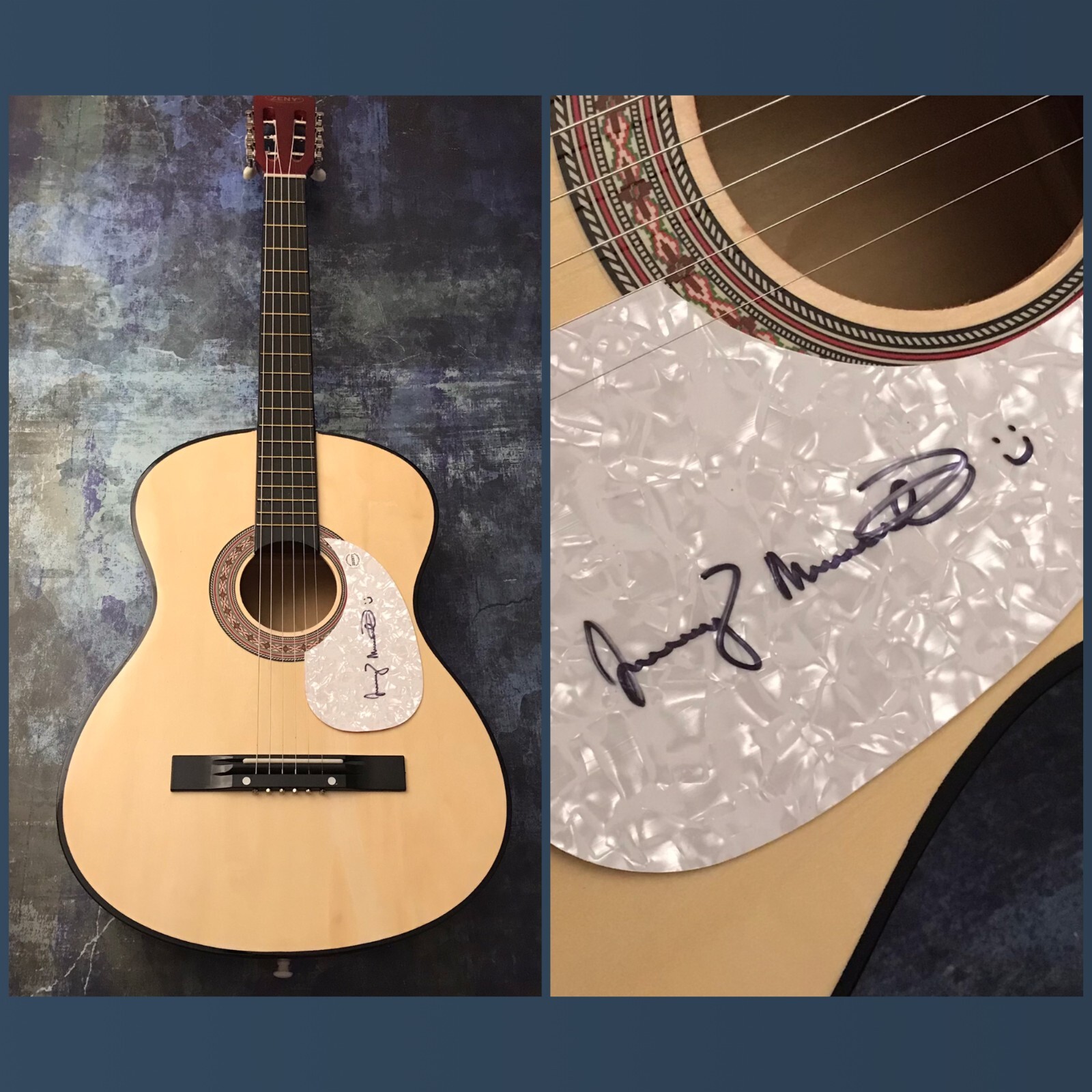 GFA The Reluctant Graveyard * JEREMY MESSERSMITH * Signed Acoustic Guitar COA