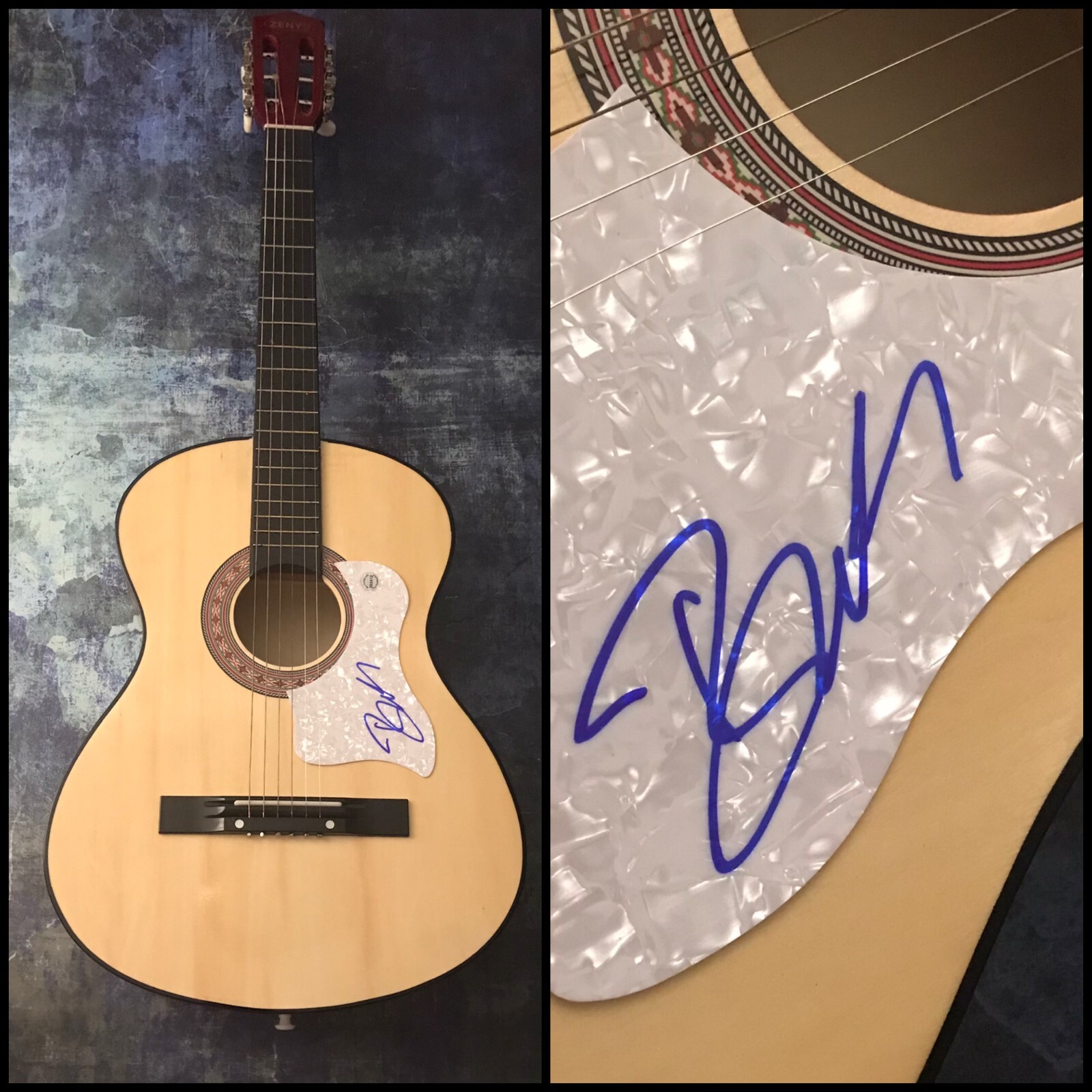 GFA Goddess Jillian Star * BANKS * Signed Acoustic Guitar B3 COA