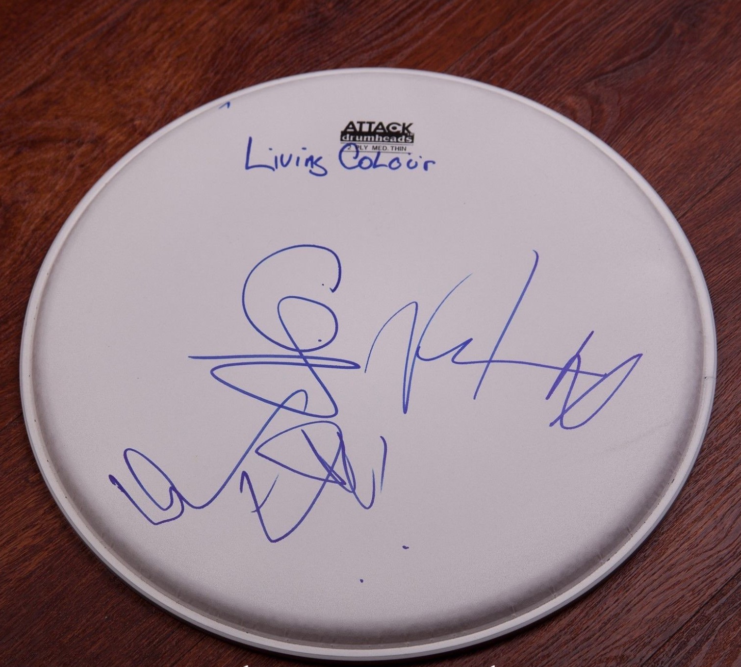 GFA American Rock Band * LIVING COLOUR * Signed Drumhead AD1 PROOF COA