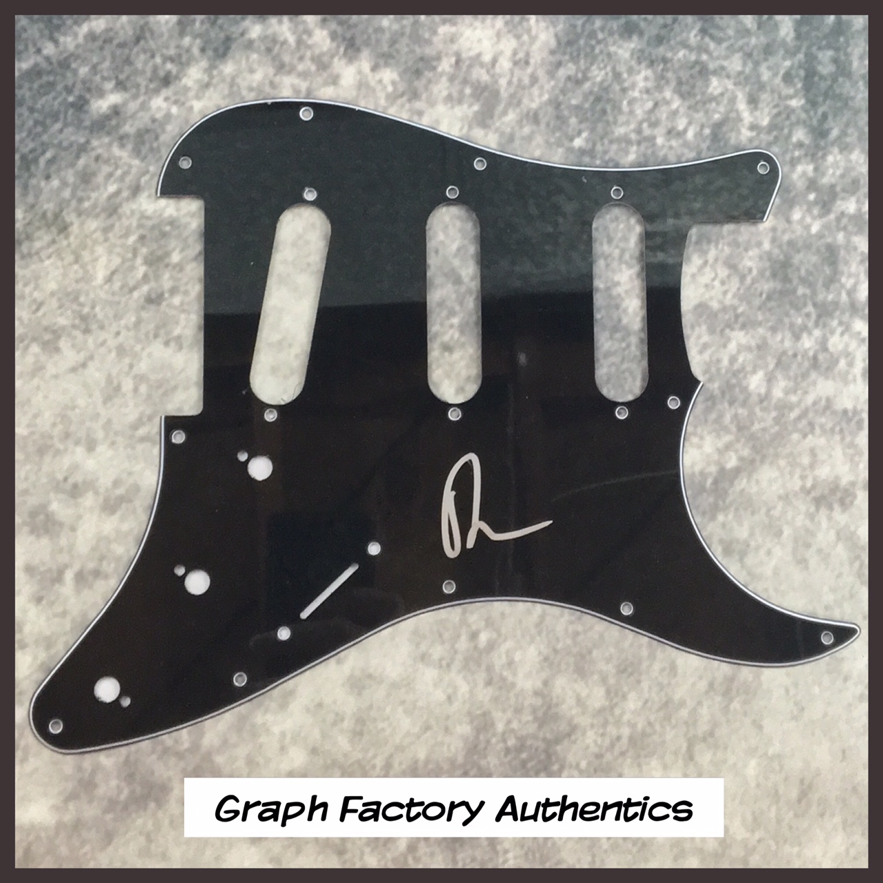 GFA Band of Horses * BEN BRIDWELL * Signed Electric Pickguard PROOF AD1 COA
