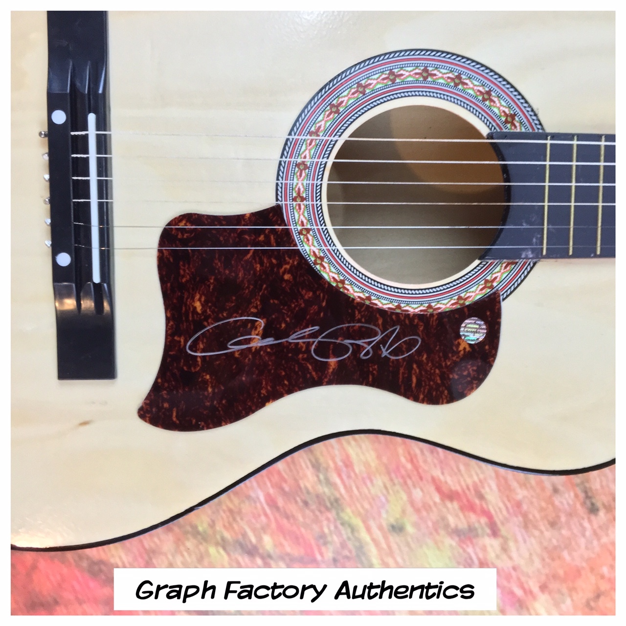 GFA Indie Rock Star * ANDREW BIRD * Signed Acoustic Guitar AD3 COA