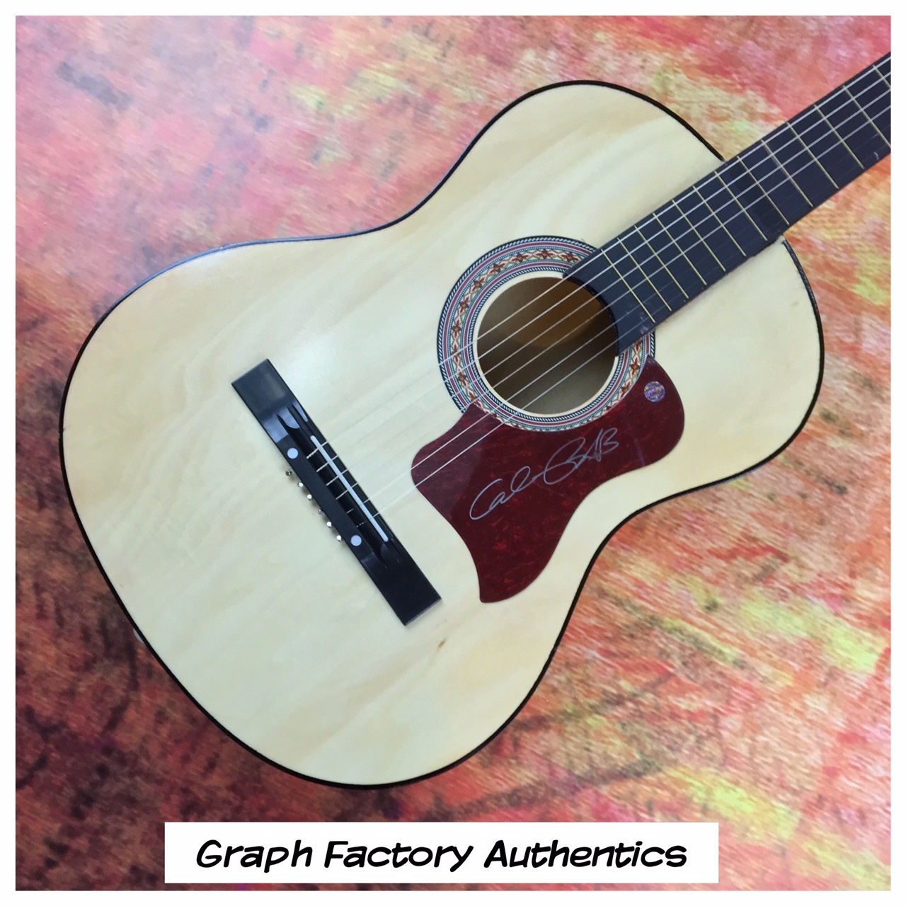 GFA Indie Rock Star * ANDREW BIRD * Signed Acoustic Guitar AD4 COA