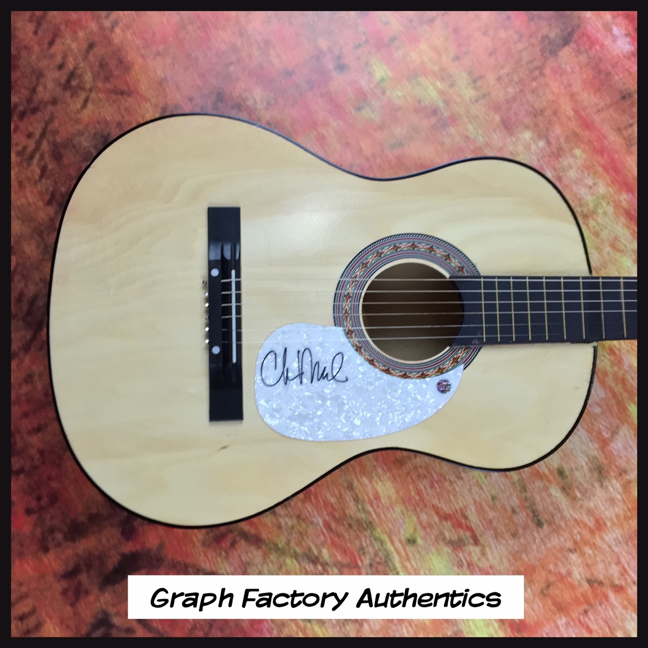 GFA Country Music Artist * CHUCK MEAD * Signed Acoustic Guitar PROOF C2 COA
