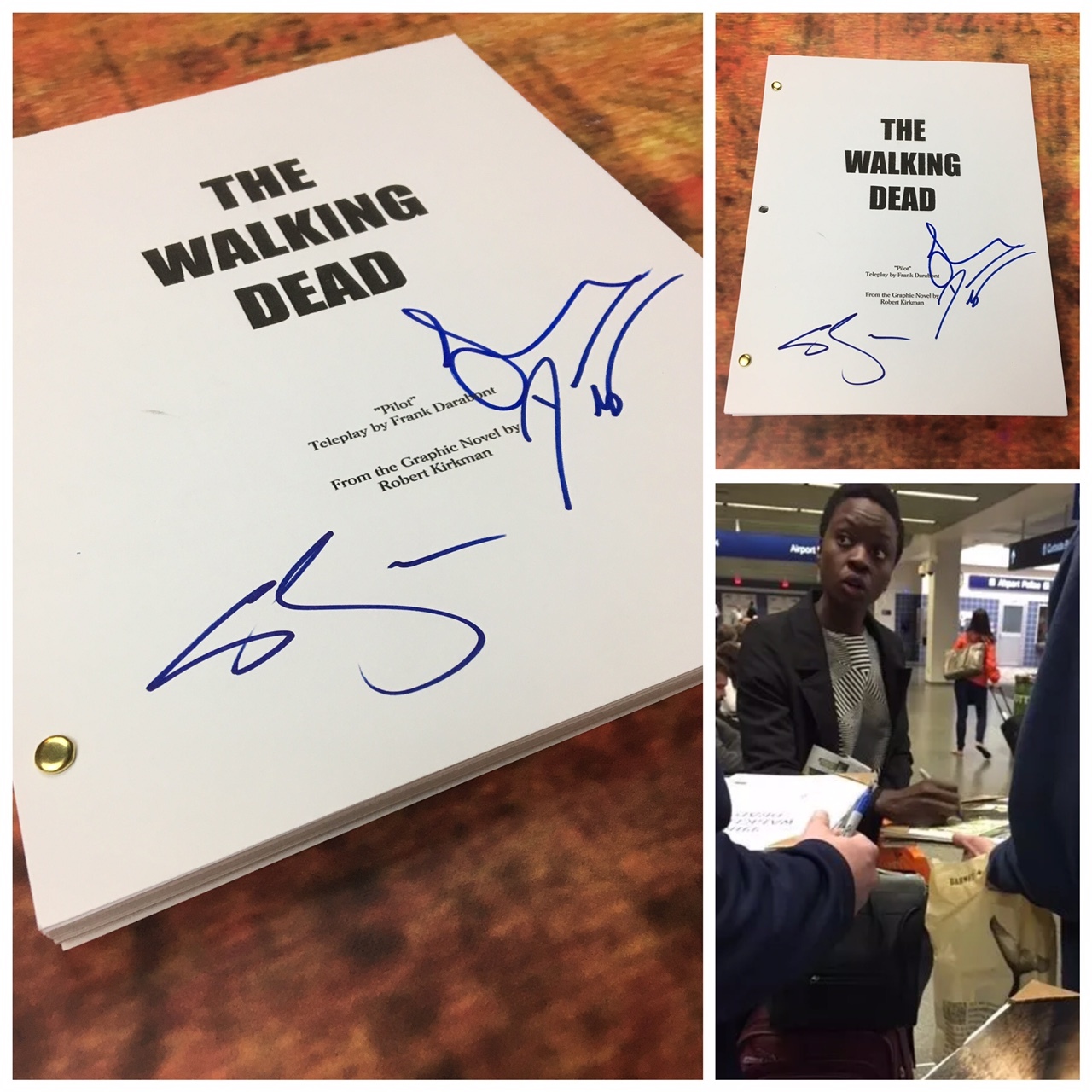 GFA Sara Wayne Callies x3 * THE WALKING DEAD * Signed Full TV Script PROOF COA