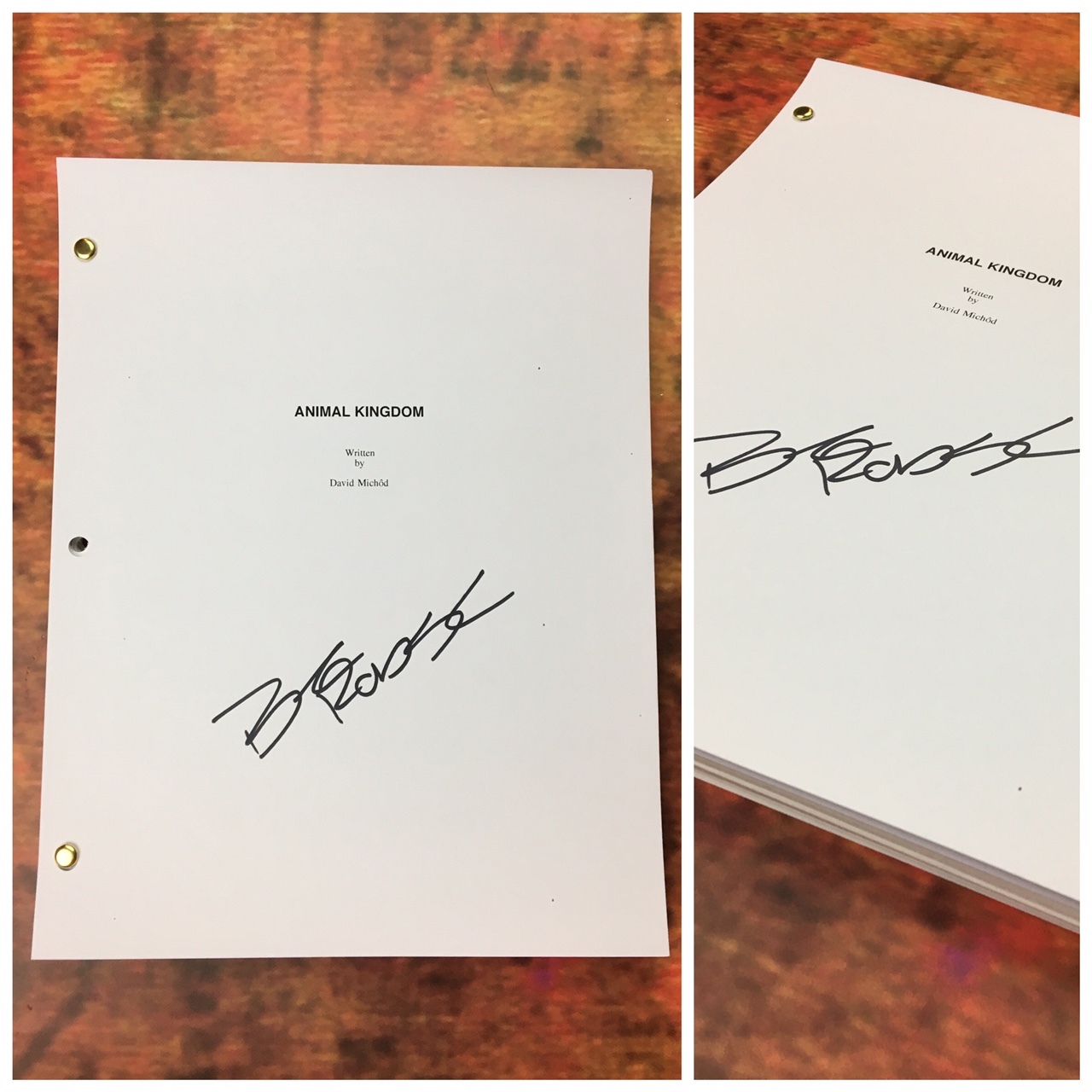 GFA Animal Kingdom - Craig * BEN ROBSON * Signed Autograph TV Episode Script COA