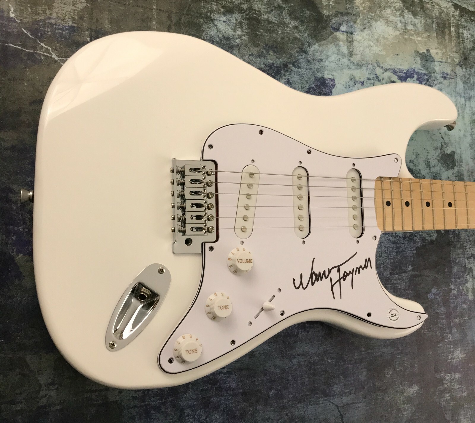 GFA The Allman Brothers * WARREN HAYNES * Signed Electric Guitar PROOF AD3 COA