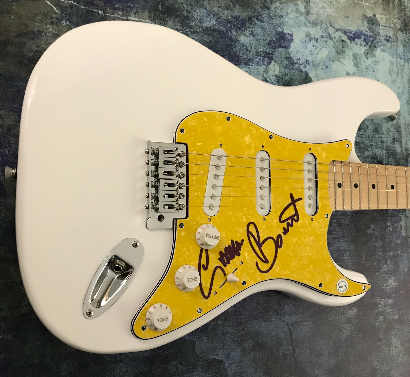 GFA Rainbow Band Singer * GRAHAM BONNET * Signed Electric Guitar PROOF G5 COA
