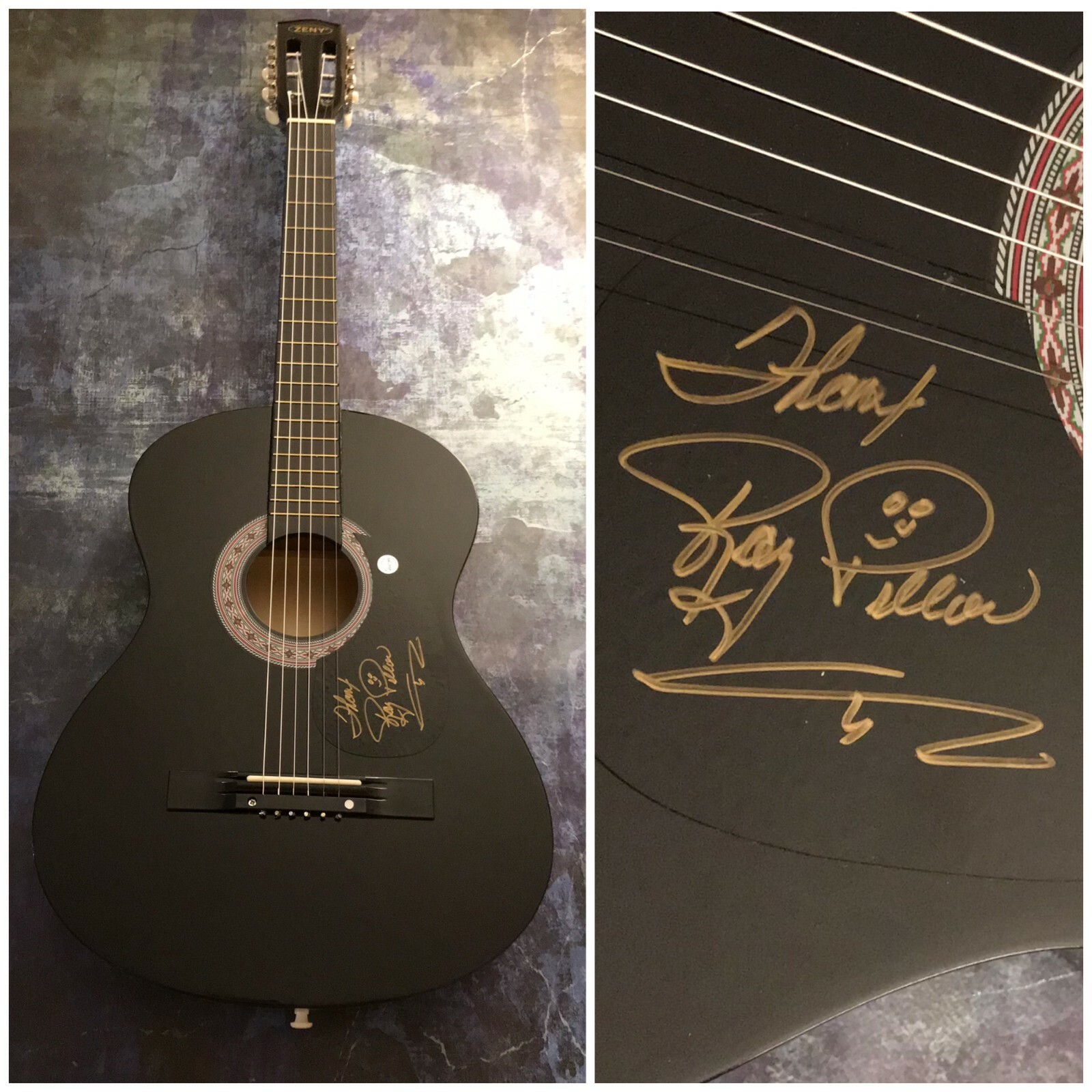 GFA I'll Take the Dog * RAY PILLOW * Signed Acoustic Guitar COA
