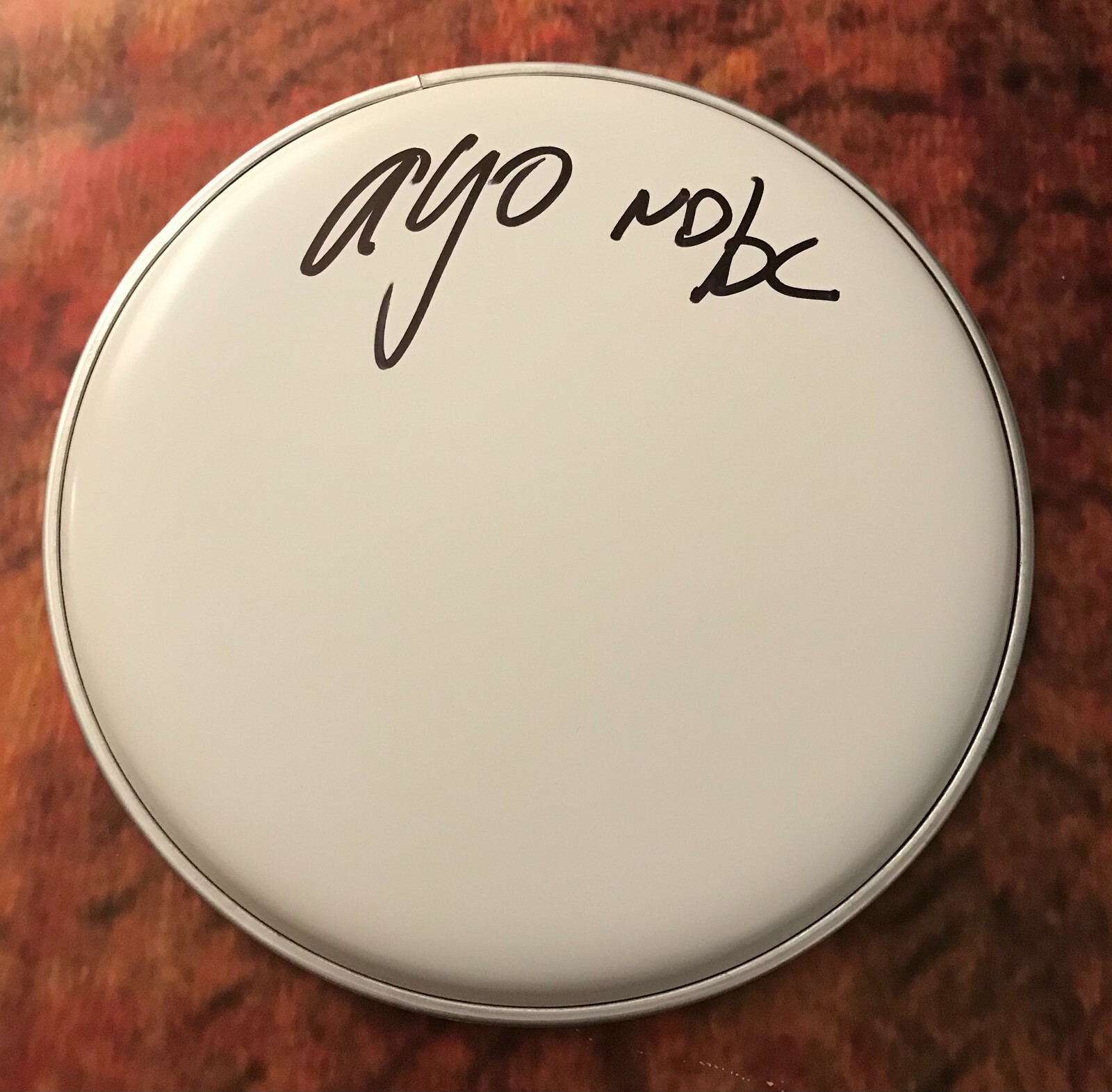 GFA No Doubt Drummer * ADRIAN YOUNG * Signed Autograph 10