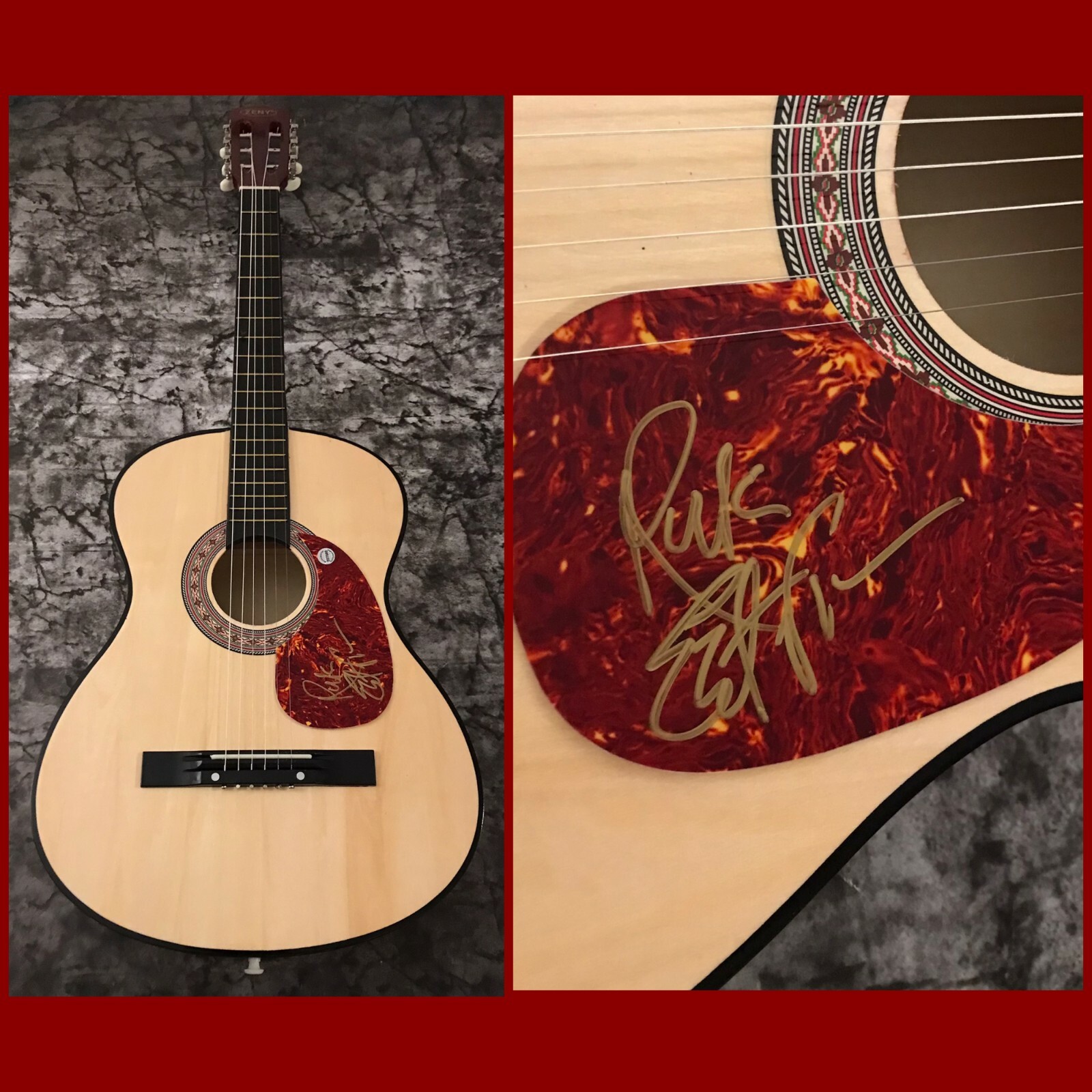 GFA and the Nightcats Star * RICK ESTRIN * Signed Acoustic Guitar R1 COA