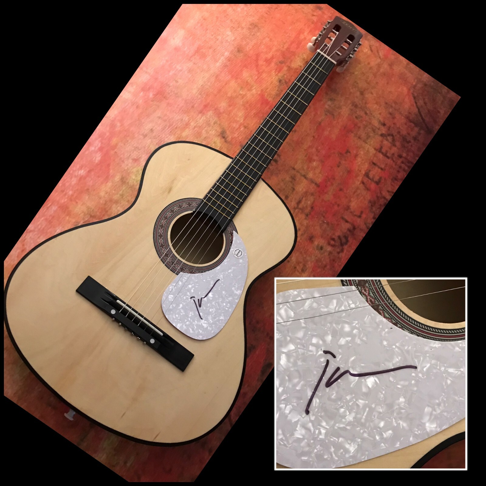 GFA The Stooges Guitarist * JAMES WILLIAMSON * Signed Acoustic Guitar J1 COA
