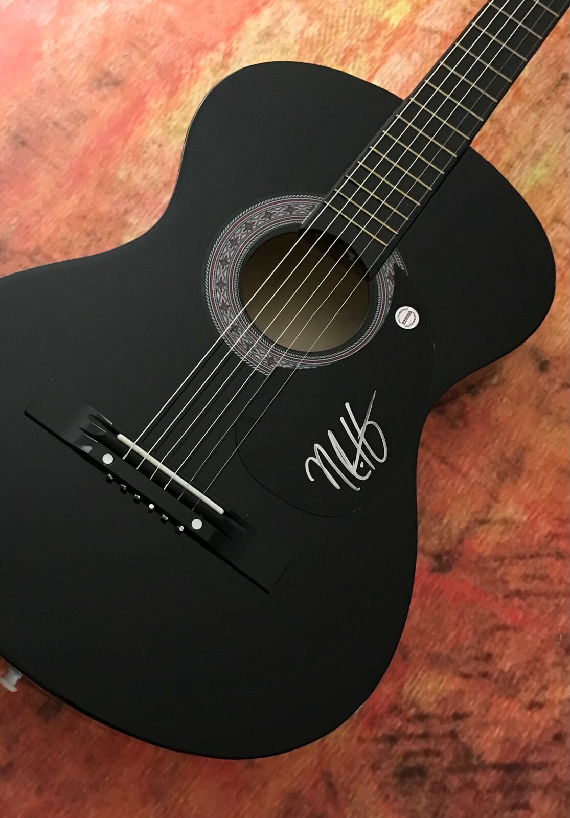 GFA Red Band Society Star * NOLAN SOTILLO * Signed Acoustic Guitar N4 COA
