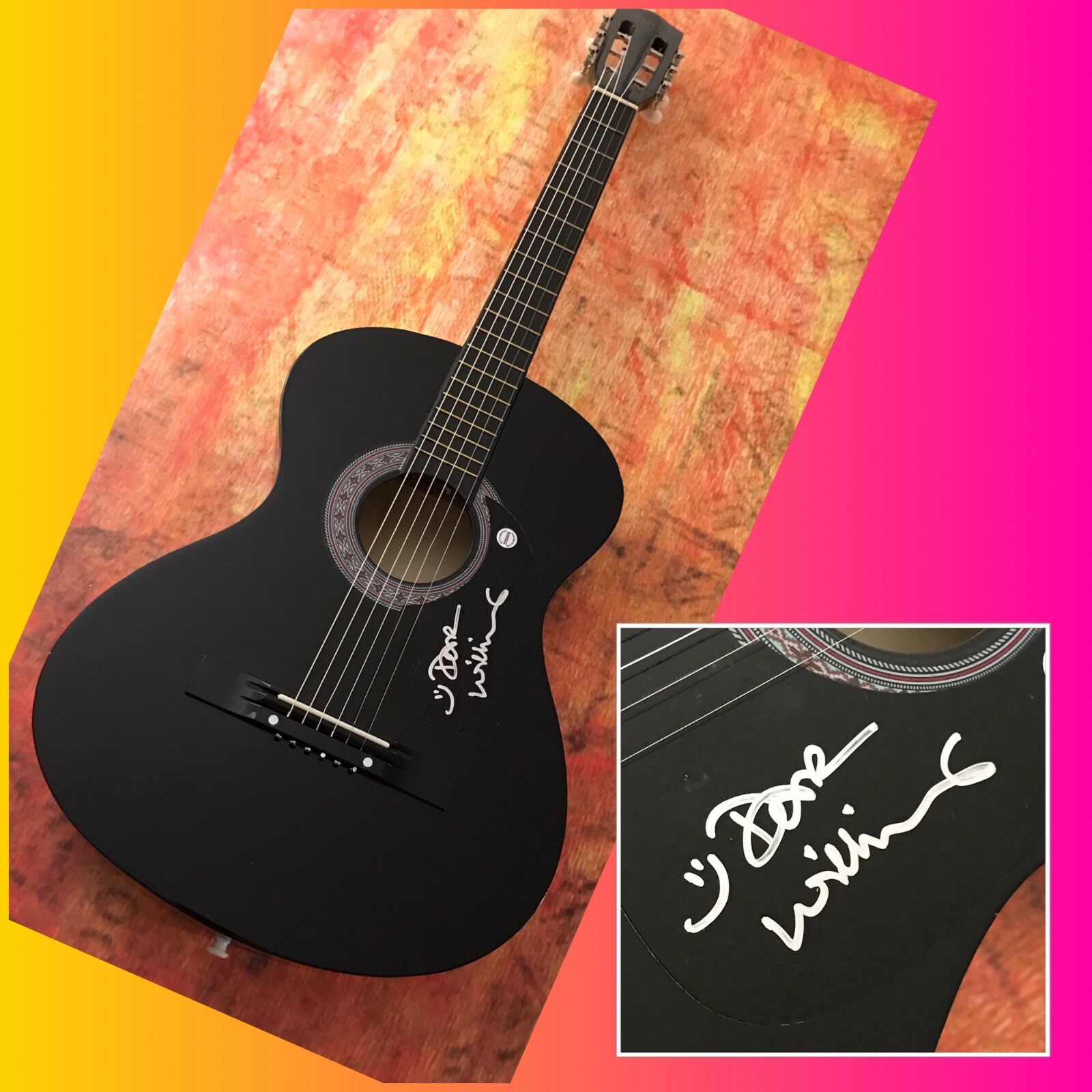 GFA Iowa Mortal City * DAR WILLIAMS * Signed Acoustic Guitar PROOF D2 COA