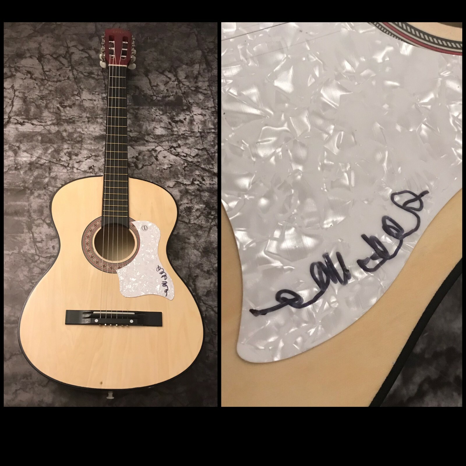 GFA Somebody's Knockin' Star * TERRI GIBBS * Signed Acoustic Guitar COA

