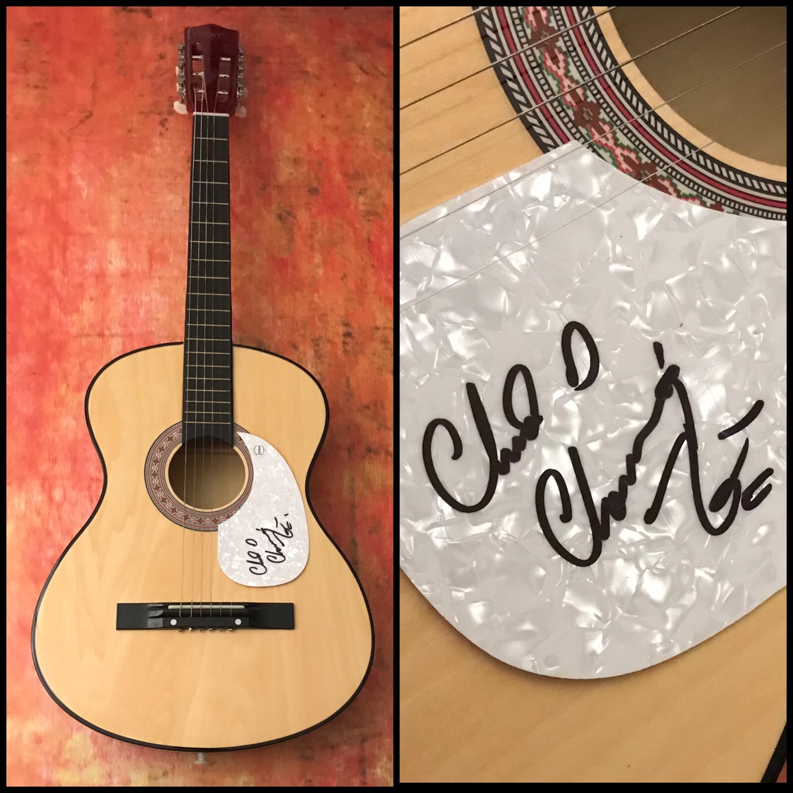 GFA Nirvana Drummer Bleach * CHAD CHANNING * Signed Acoustic Guitar C2 COA
