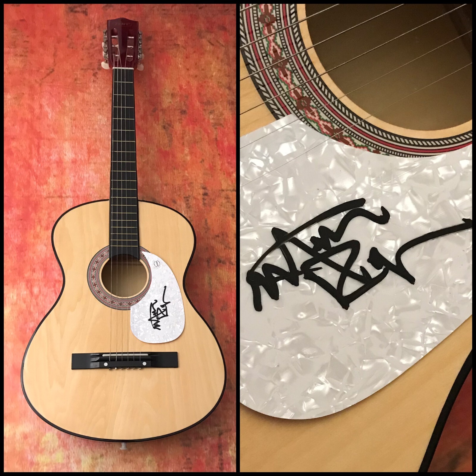 GFA Jenny Take a Ride * MITCH RYDER * Signed Acoustic Guitar M6 COA
